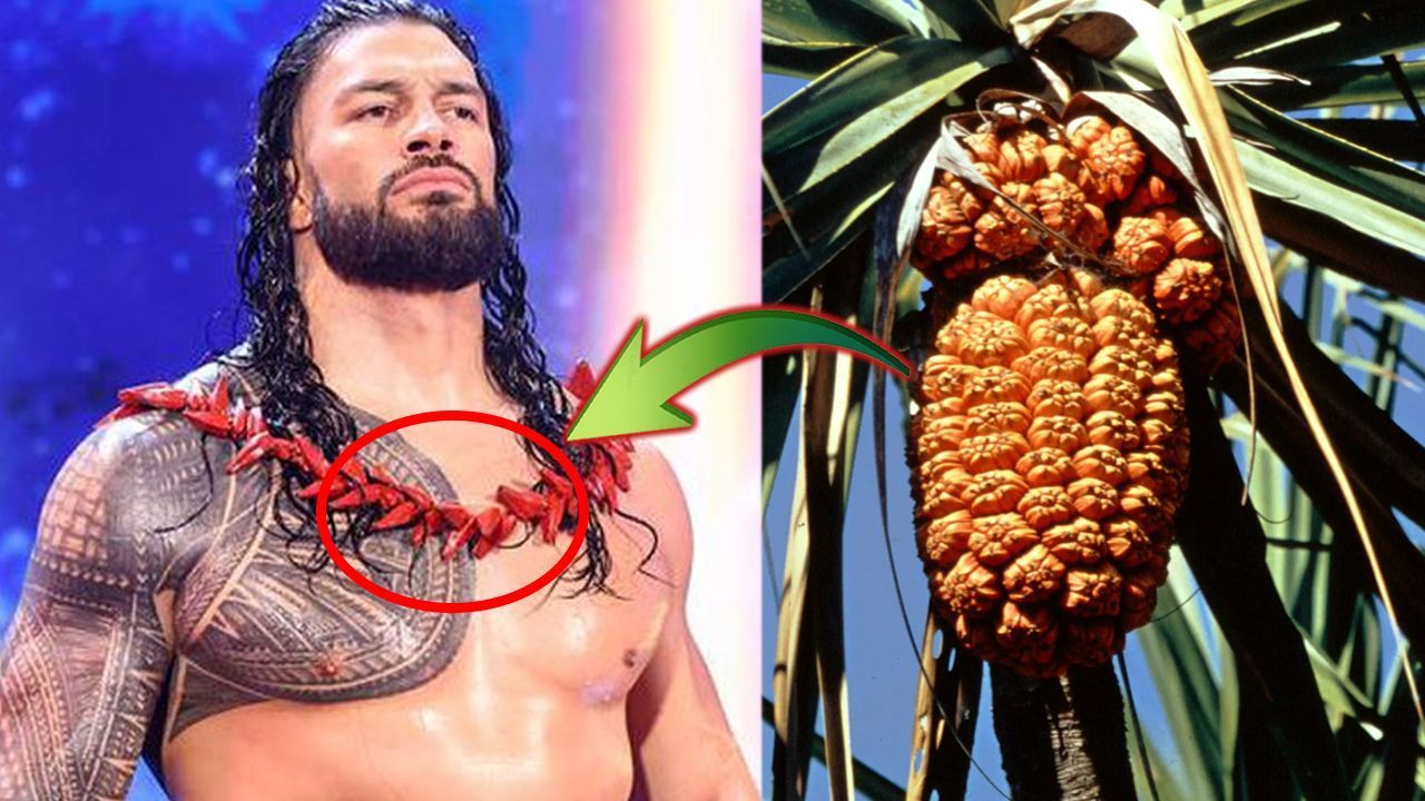 Roman Reigns&#039; red necklace carries cultural significance