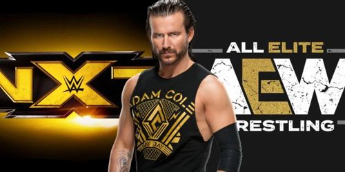 Adam Cole is one of AEW's biggest stars