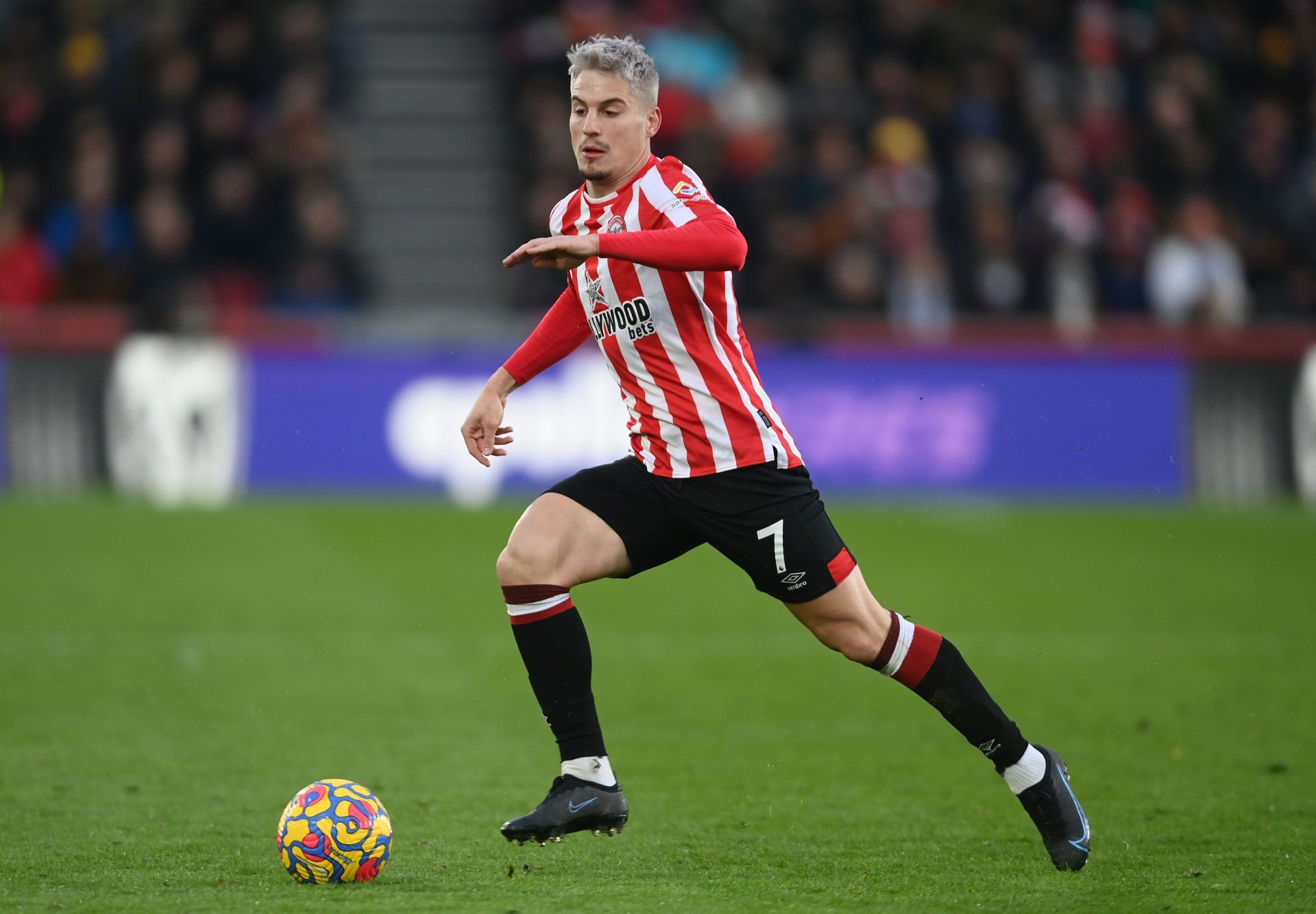 Sergi Canos has impressed for Brentford