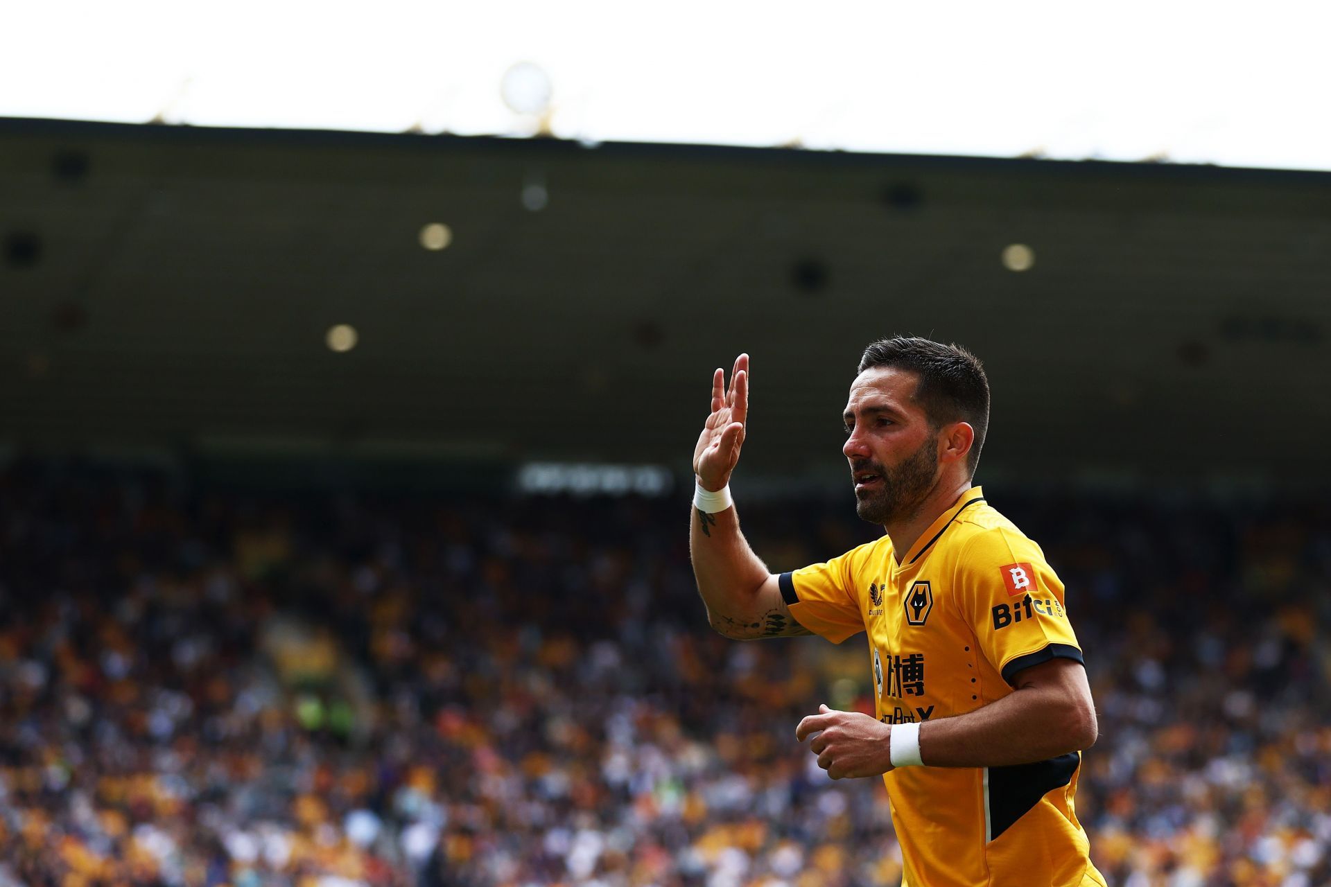 Wolverhampton Wanderers v Brighton & Hove Albion - Premier League