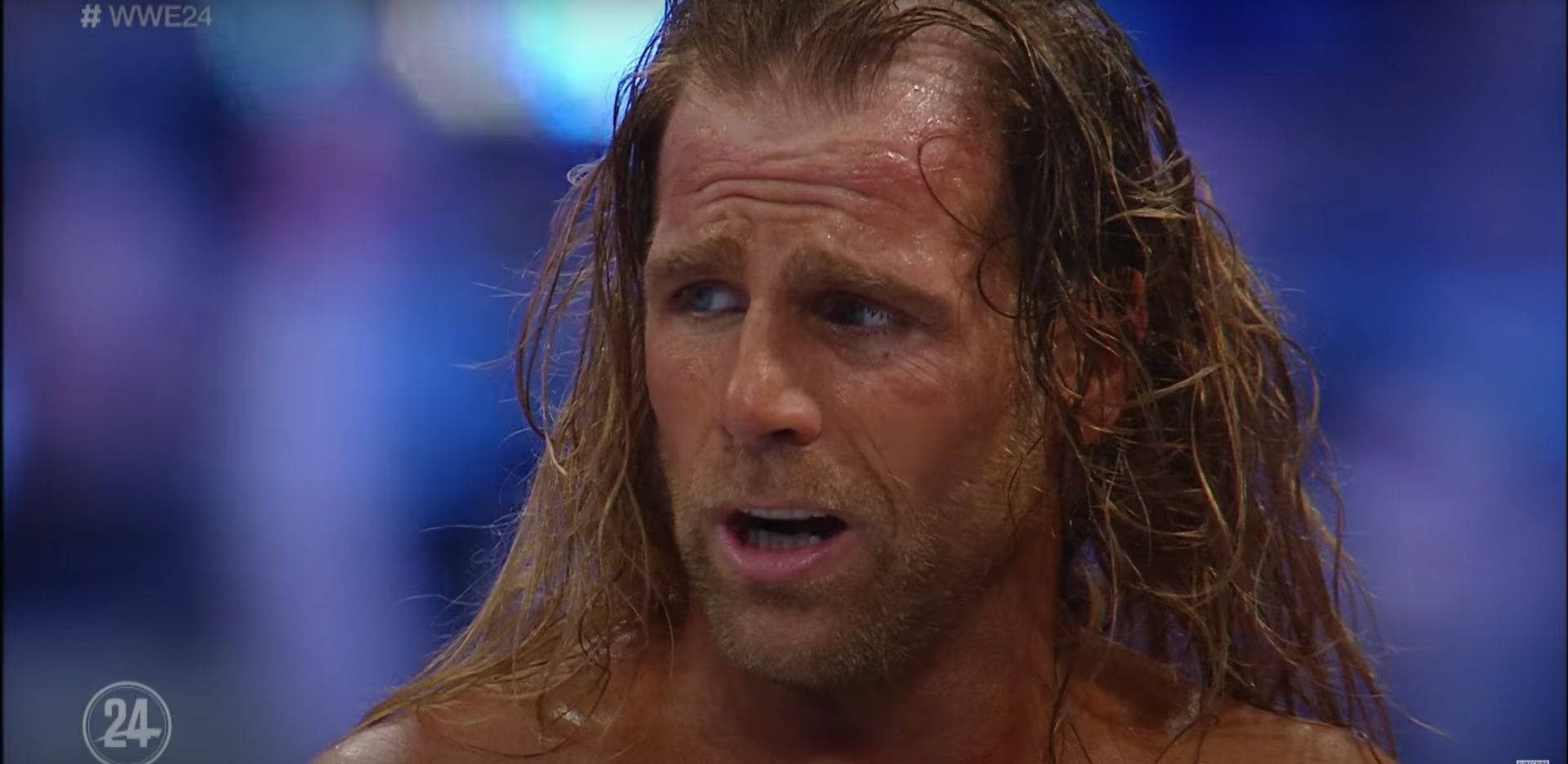 Shawn Michaels at WrestleMania XXIV