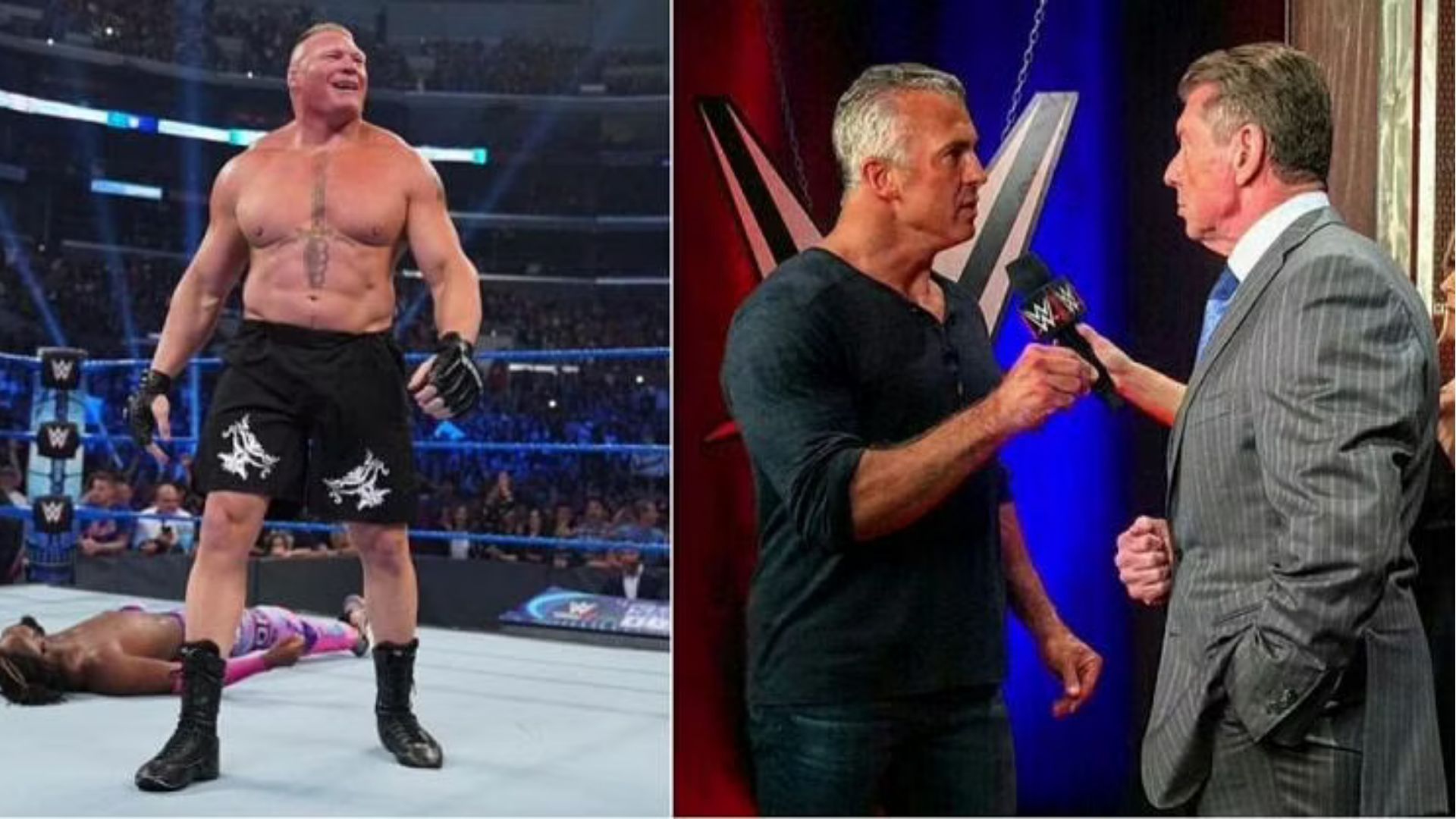 Brock Lesnar, Shane McMahon and Vince McMahon