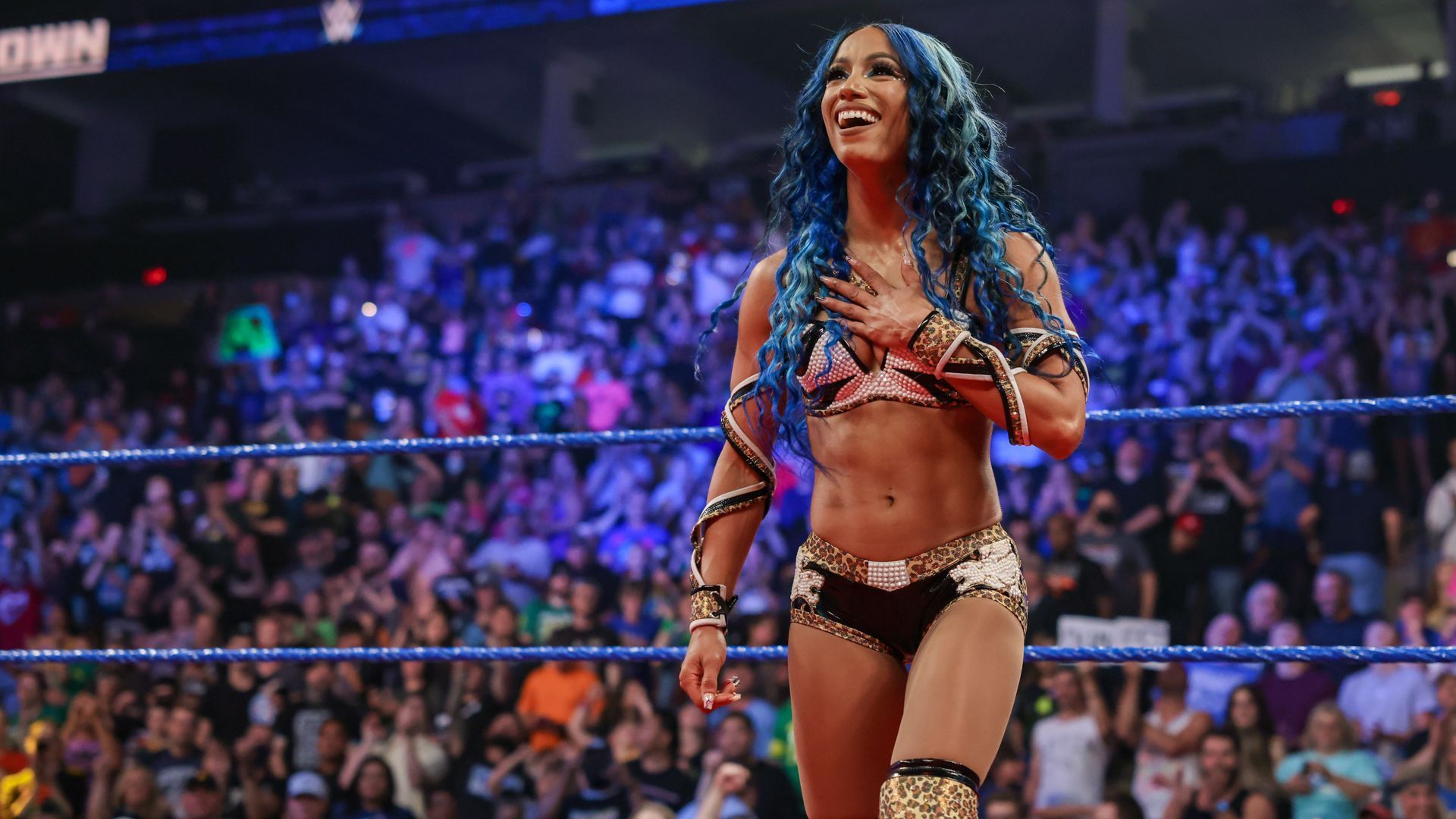 Sasha Banks is a former SmackDown Women&#039;s Champion