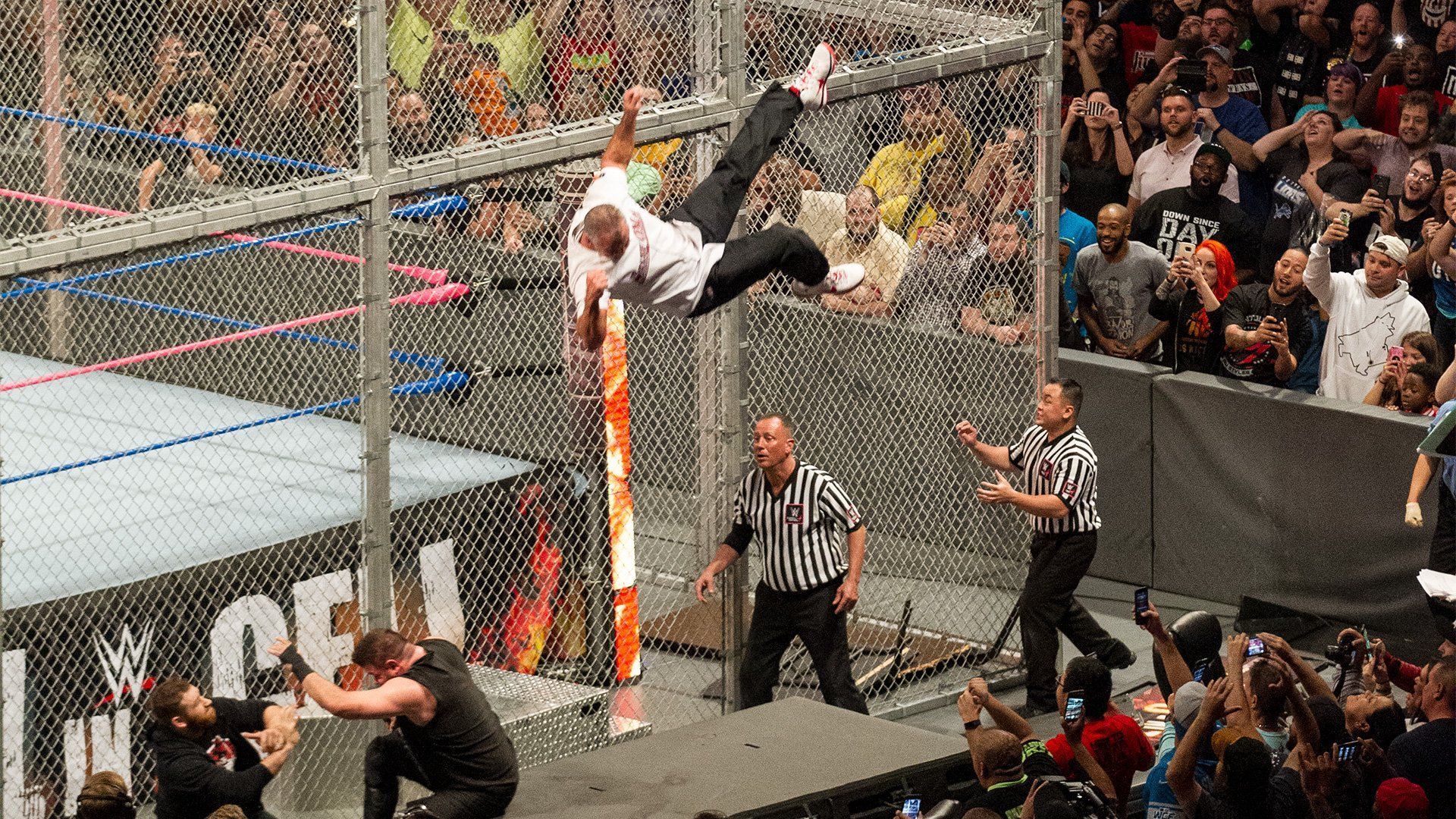 Shane McMahon jumped off the cage