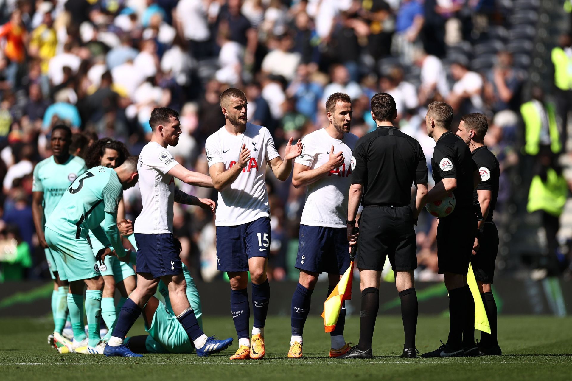 Tottenham Hotspur v Brighton & Hove Albion - Premier League