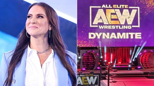 Stephanie McMahon was a fan of a former star