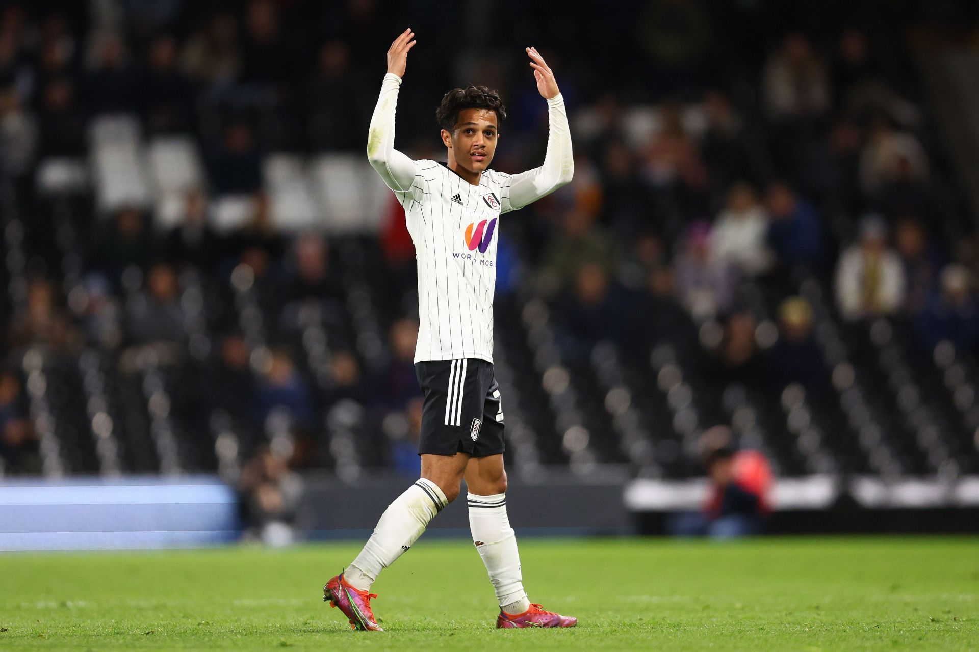 Fulham v Preston North End - Sky Bet Championship