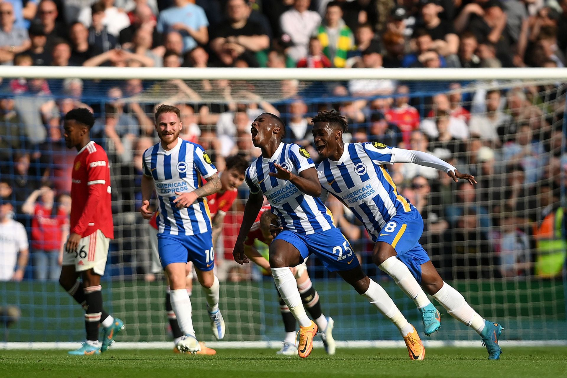 Brighton's Moises Caicedo (C, #25) celebrates his goal against Manchester United