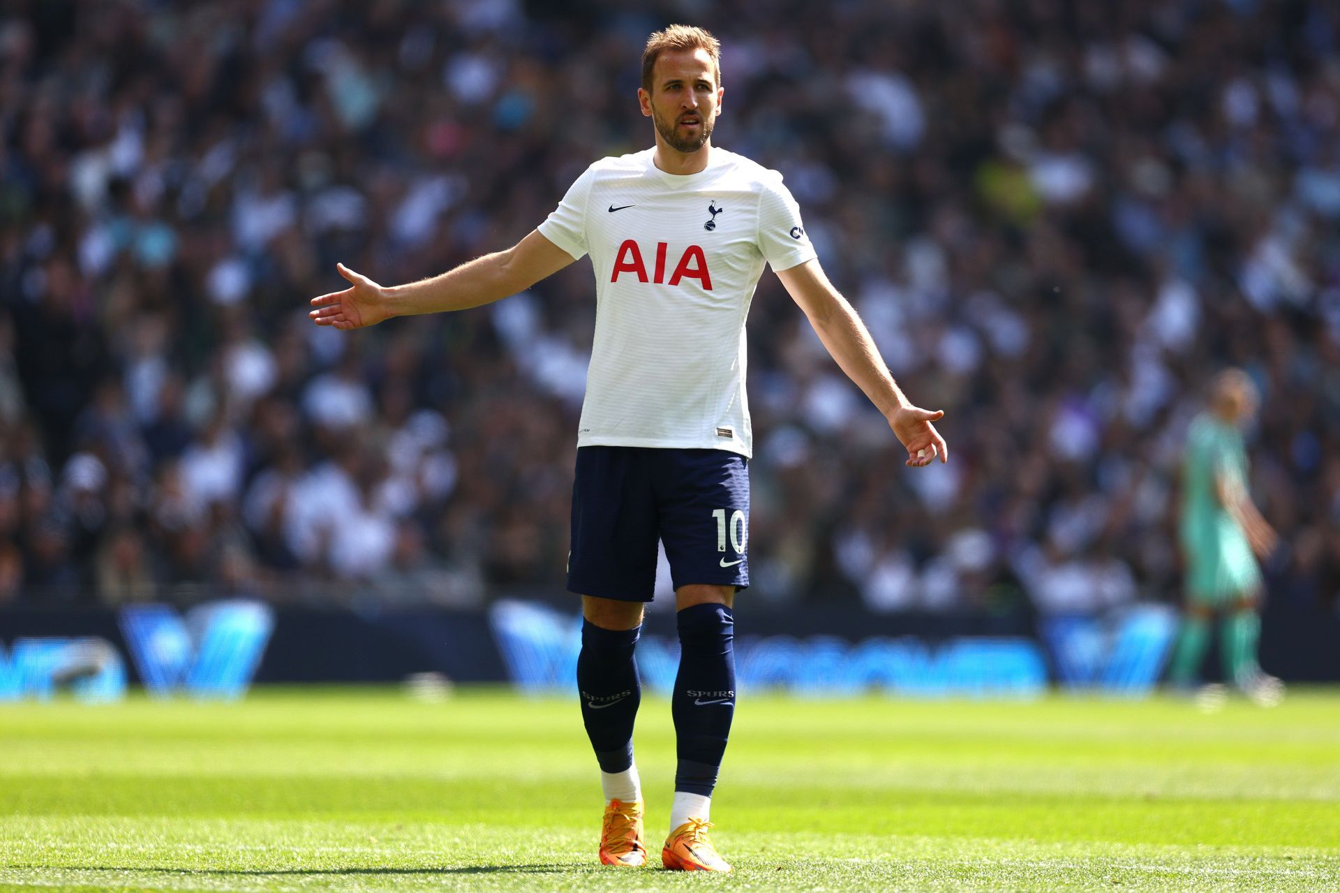 Tottenham Hotspur v Brighton & Hove Albion - Premier League