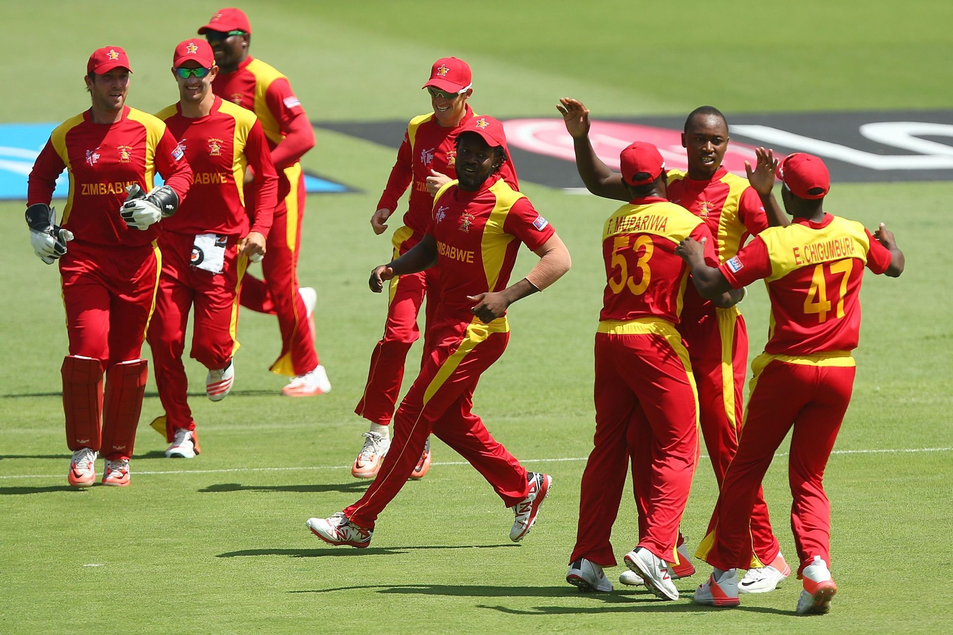 Pakistan v Zimbabwe - 2015 ICC Cricket World Cup