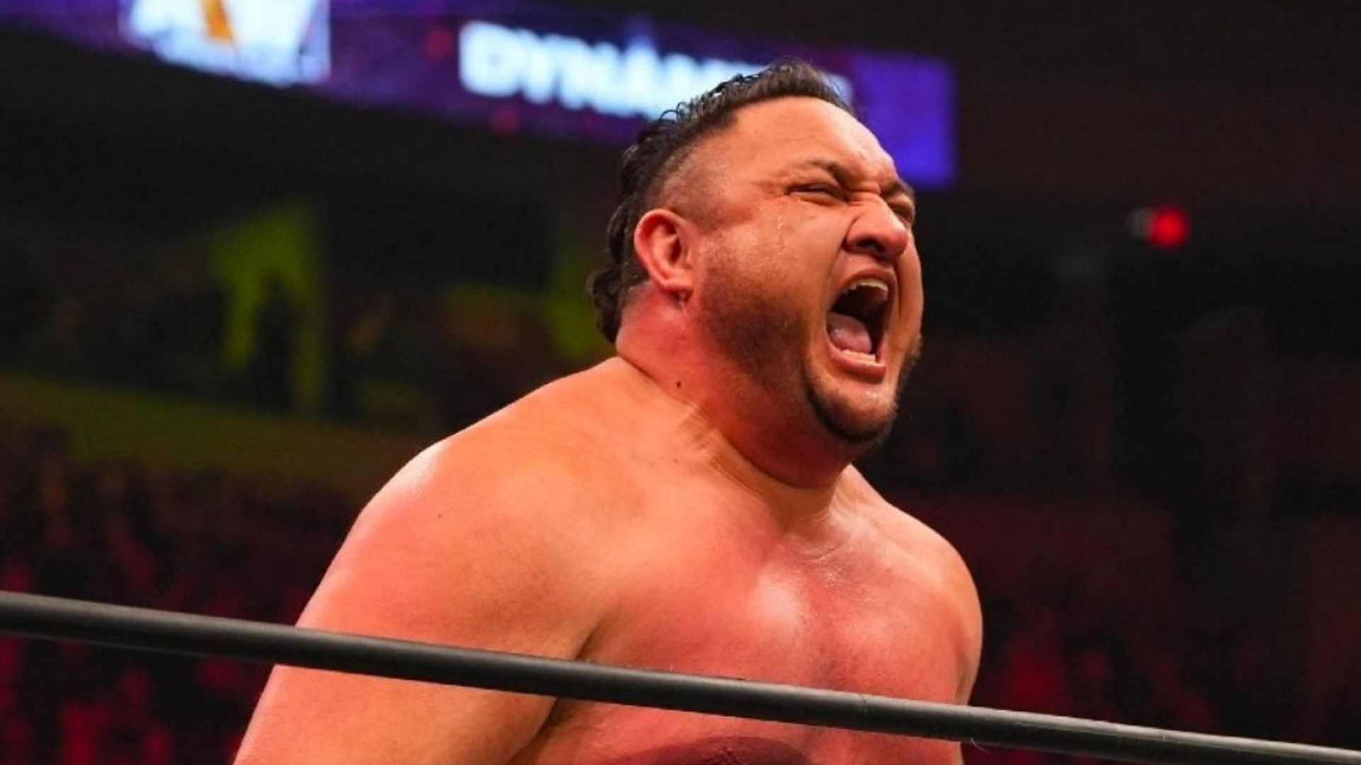 Samoa Joe - The Samoan Submission Specialist