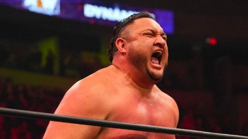 Samoa Joe - The Samoan Submission Specialist