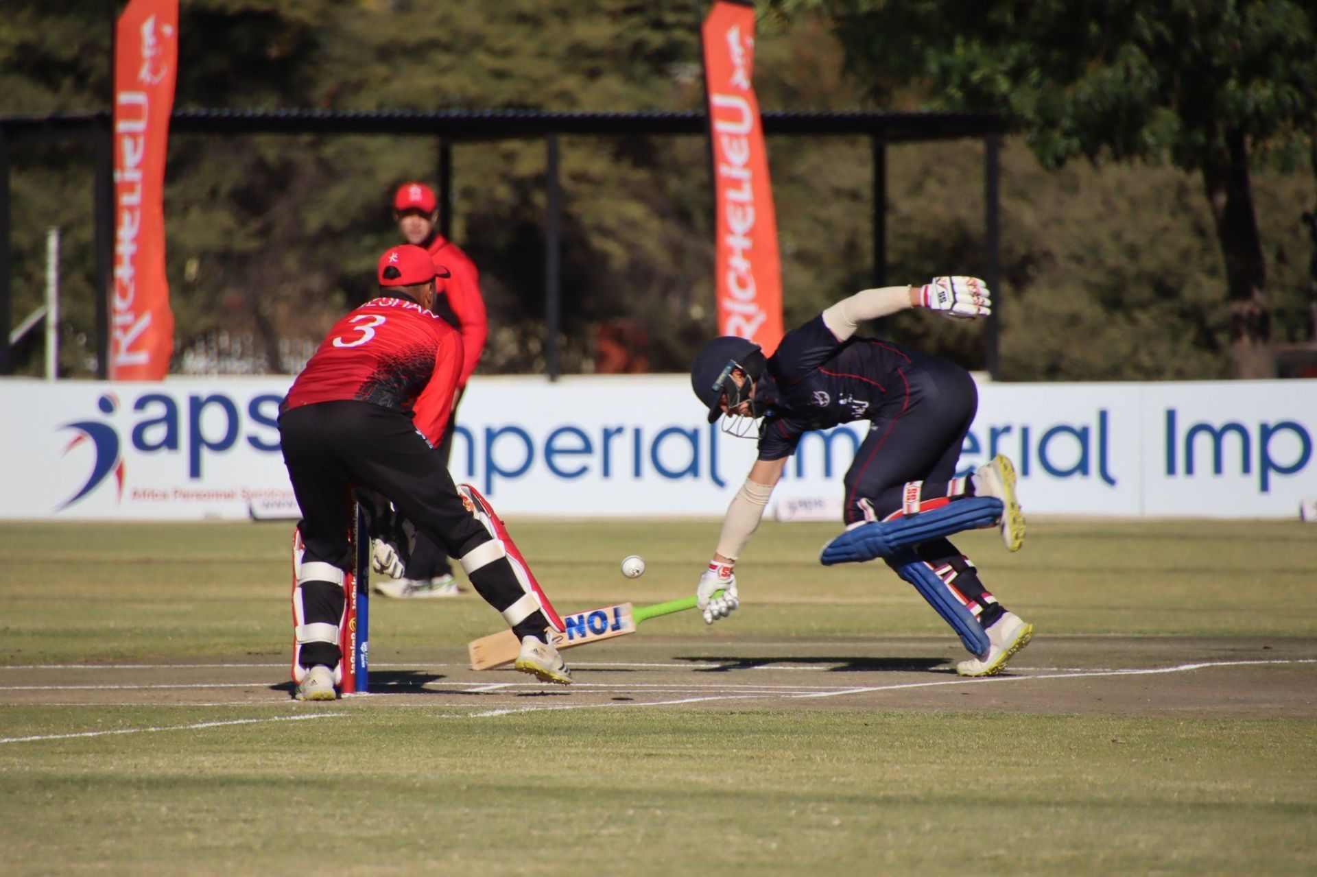 Namibia vs Hong Kong (Photo - Cricket Namibia Twitter)