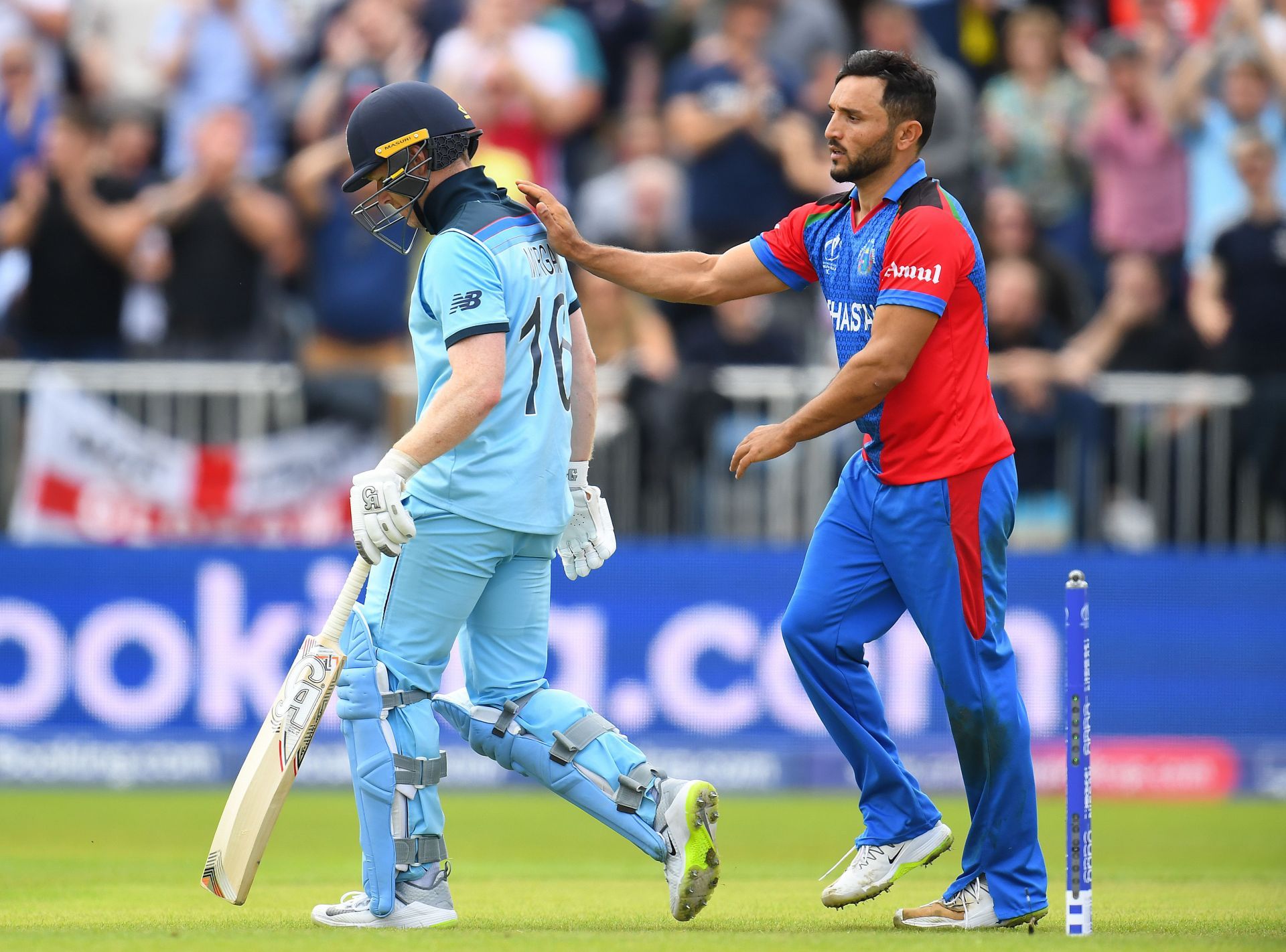 Gulbadin Naib congratulates Eoin Morgan after dismissing him. (Getty Images)