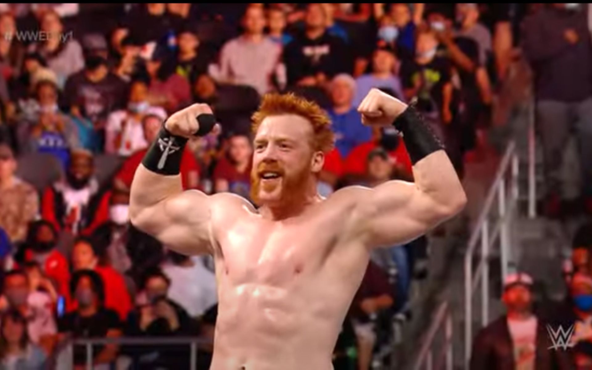 WWE SmackDown Superstar, Sheamus