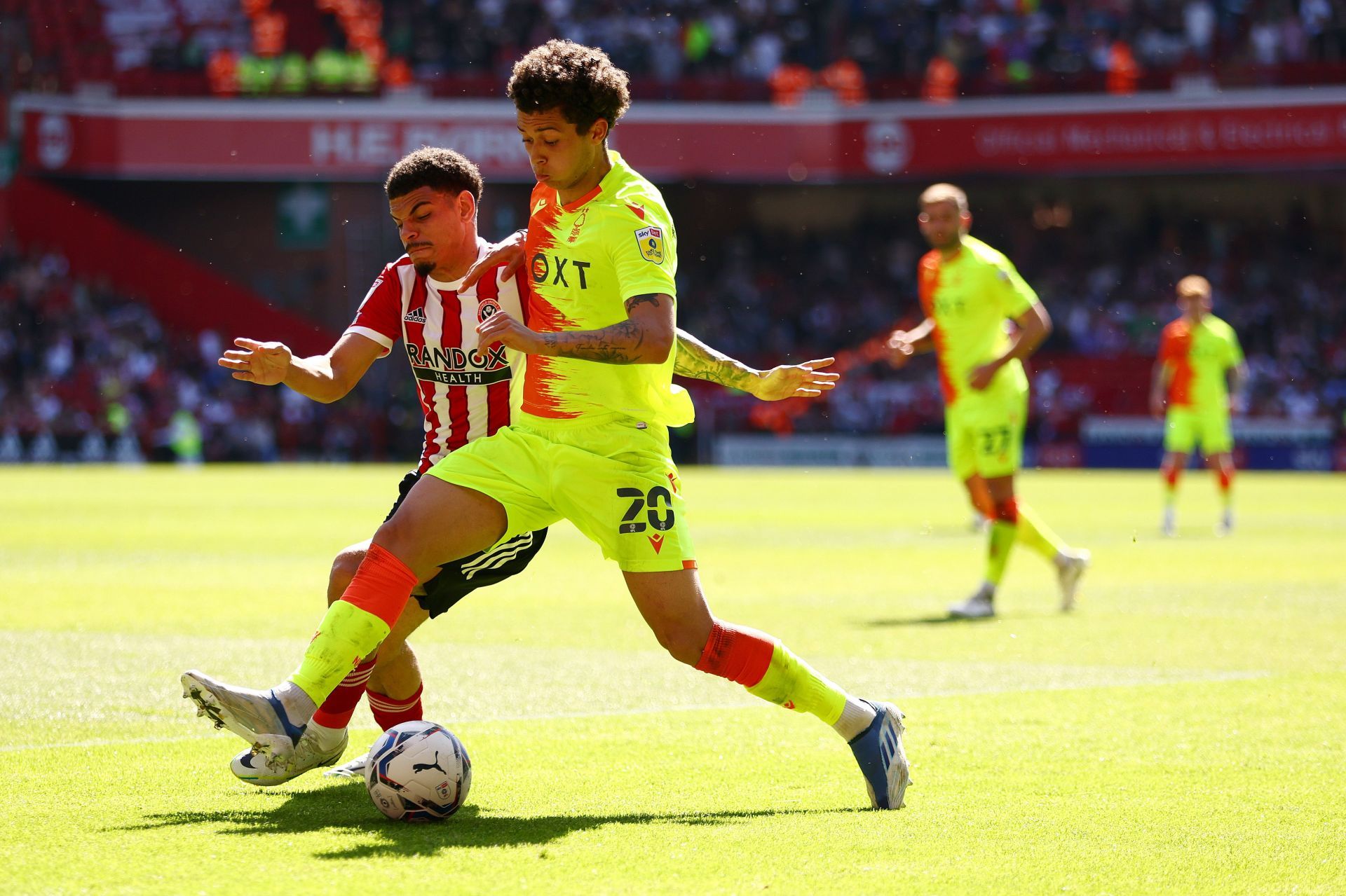 Morgan Gibbs-White spent last season on loan at Sheffield United