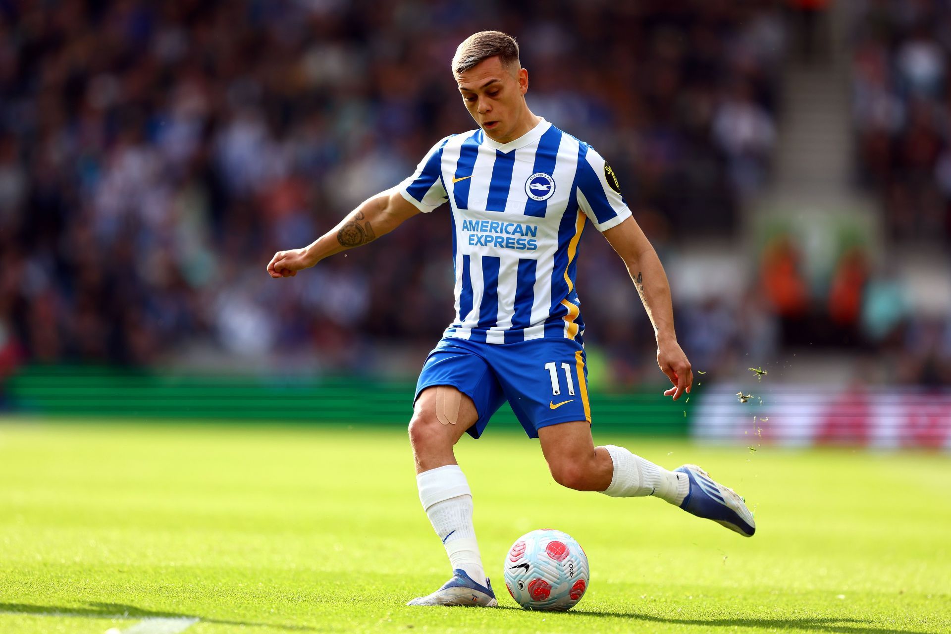 Brighton & Hove Albion v Manchester United - Premier League