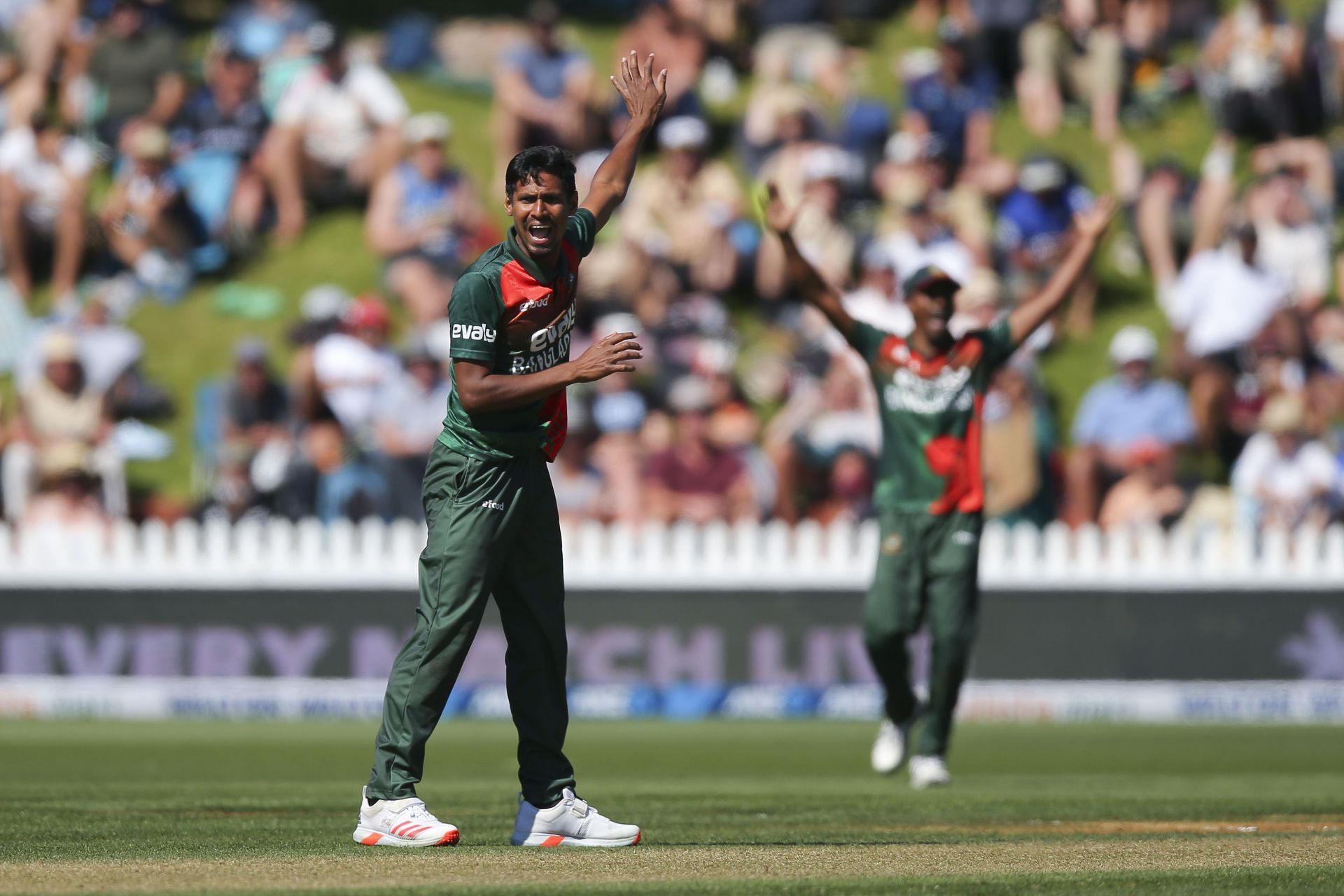 New Zealand vs Bangladesh - ODI Game 3