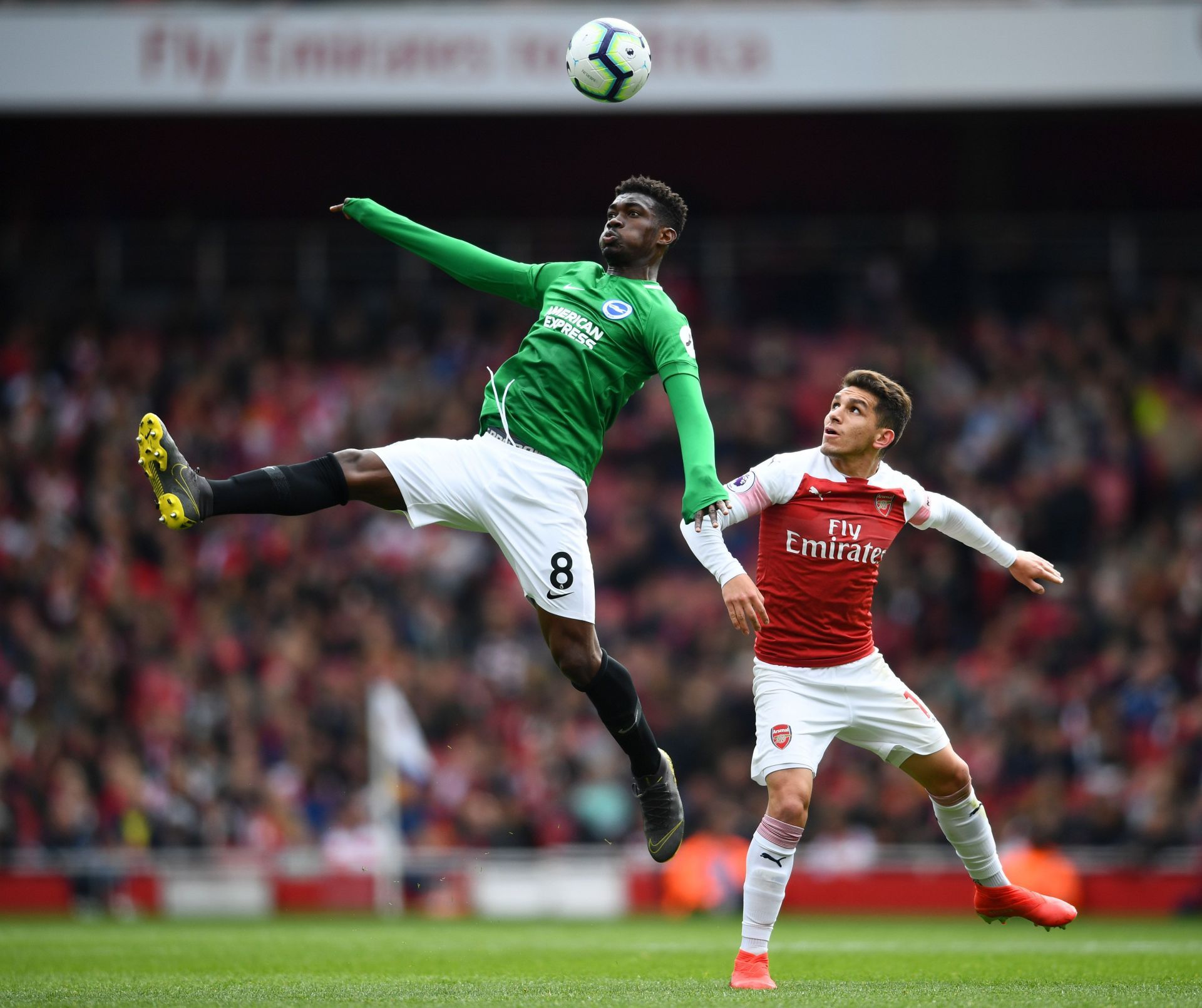 Arsenal FC v Brighton &amp; Hove Albion - Premier League