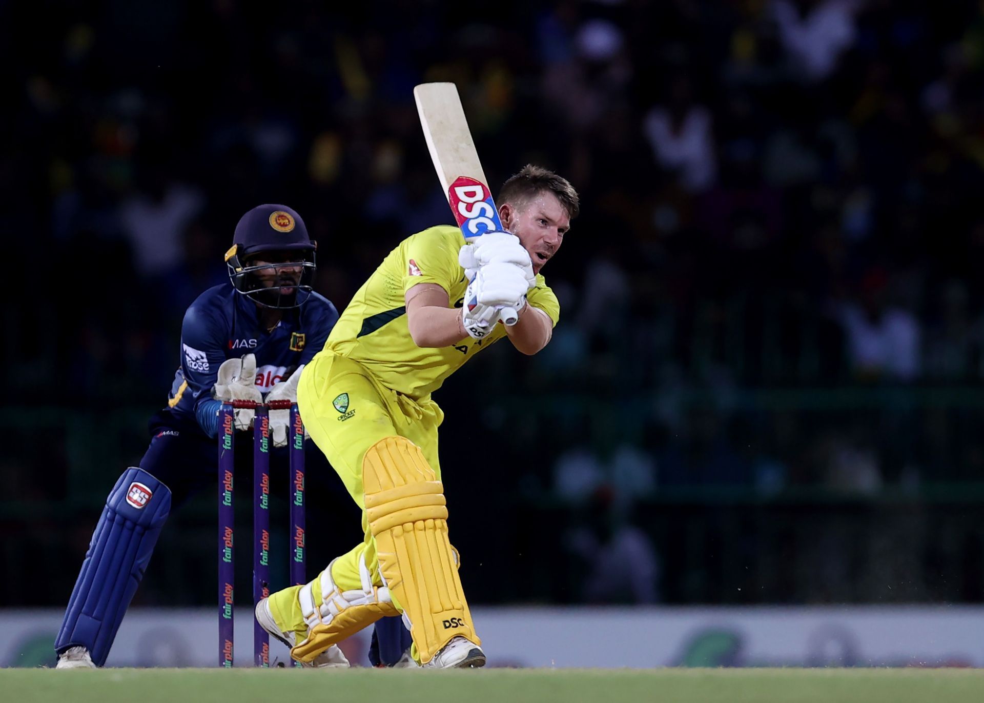 David Warner is a hot prospect among T20 franhises around the world