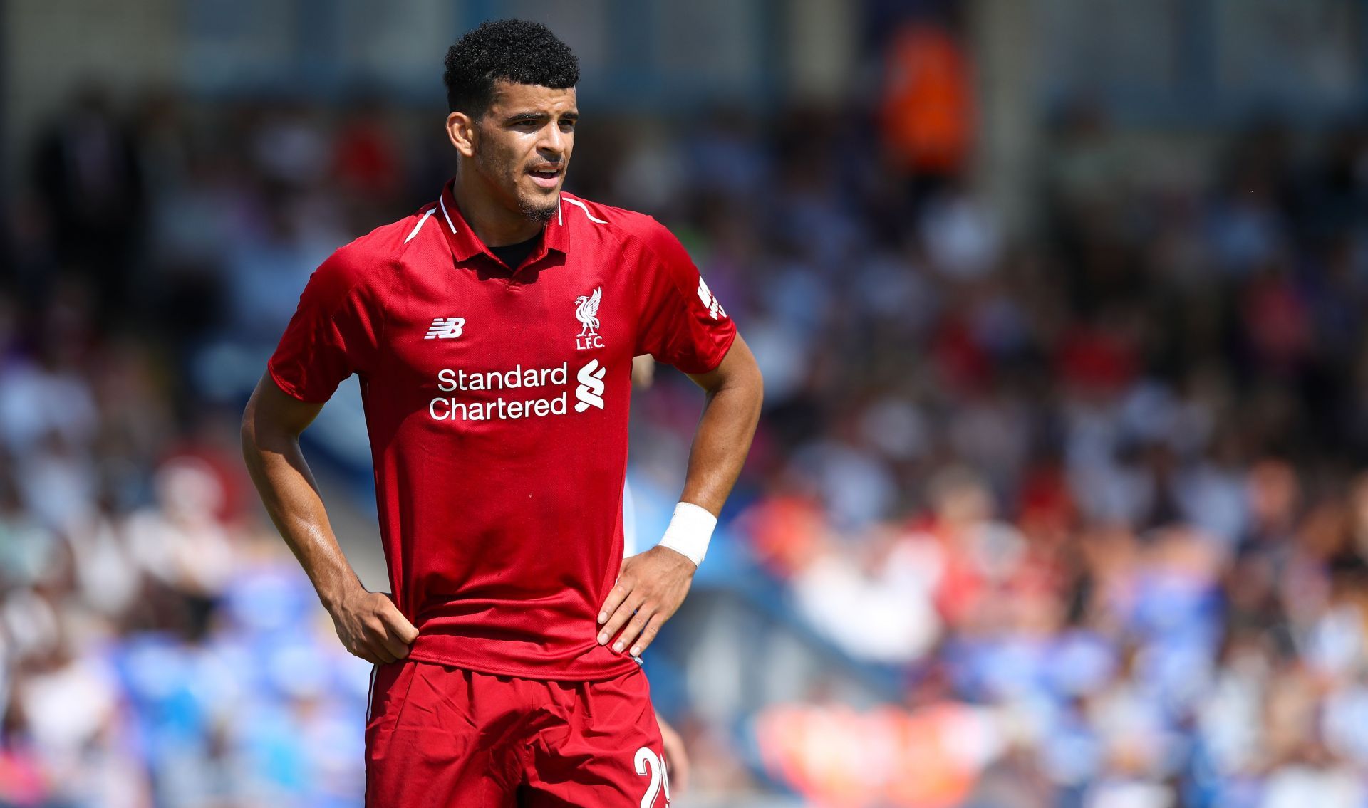 Dominic Solanke failed to live up to his hype at Liverpool