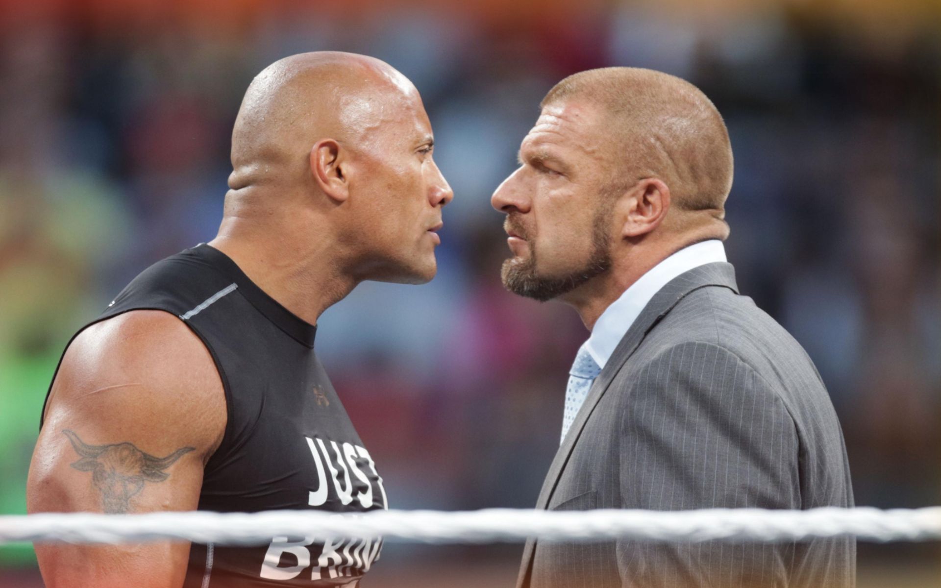 WWE Superstars, The Rock, and Triple H