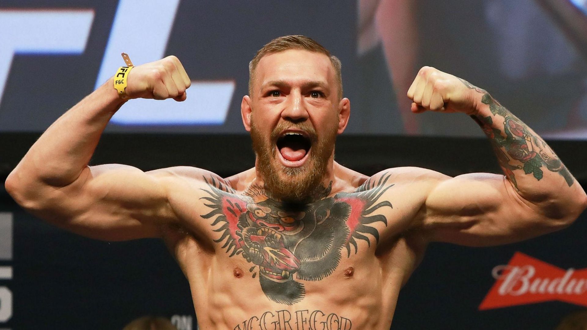 UFC fighter Conor McGregor (22-6 record)