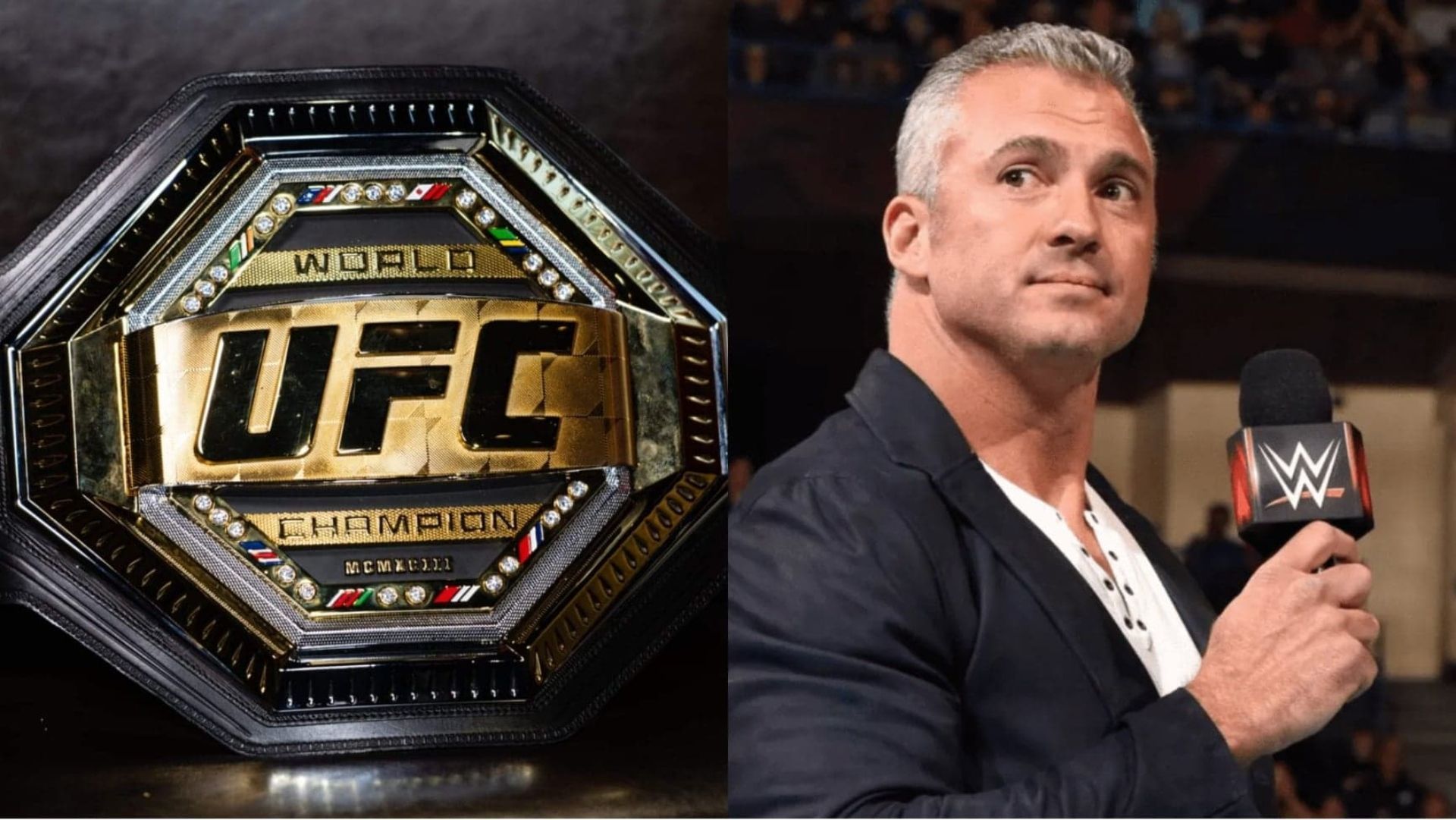 UFC Championship(L); Shane McMahon(R)