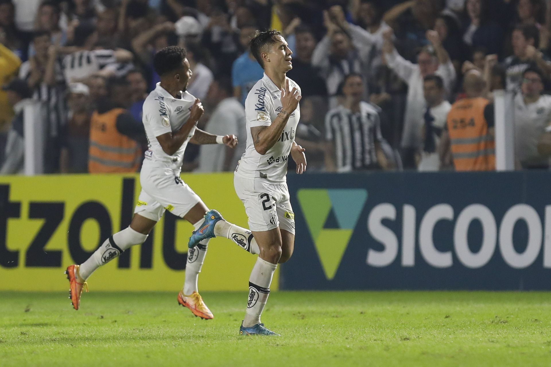 Santos face Deportivo Tachira in the Copa Sudamericana on Wednesday