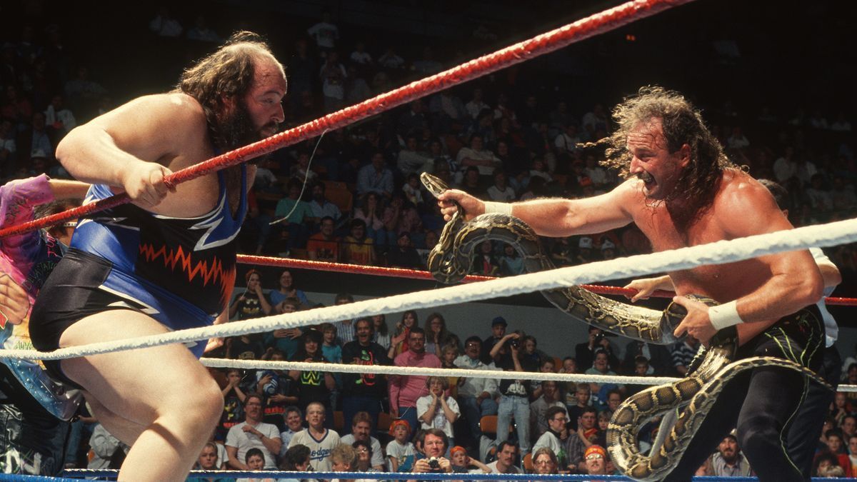 Jake Roberts couldn't replicate his WWE success in WCW