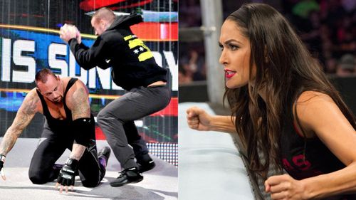 The Undertaker and CM Punk (left); Brie Bella (right)