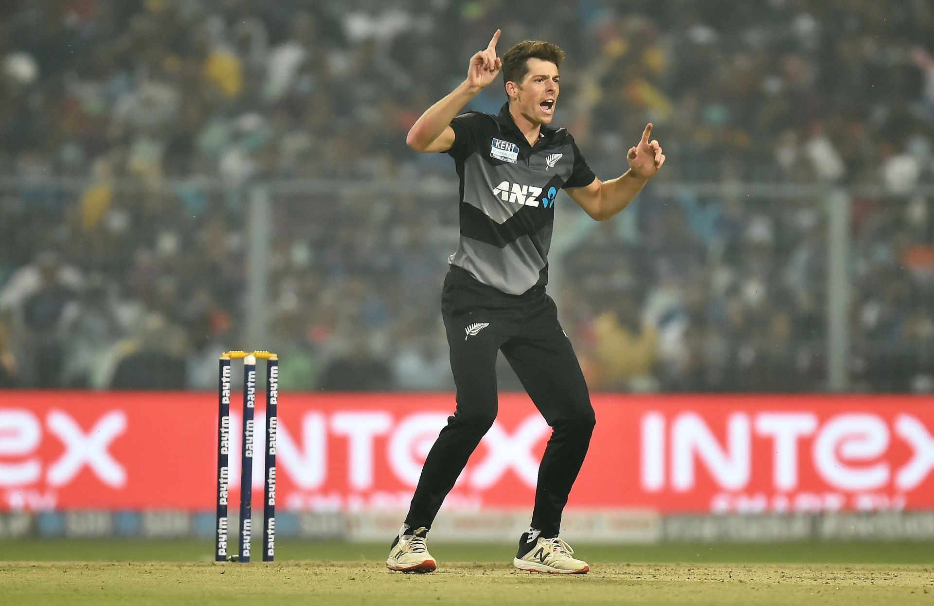 India v New Zealand - T20 International