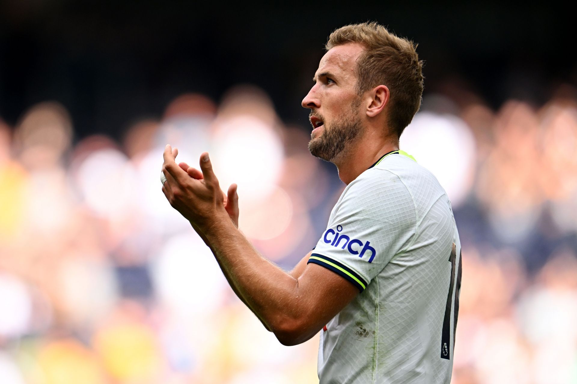 Tottenham Hotspur v Wolverhampton Wanderers - Premier League