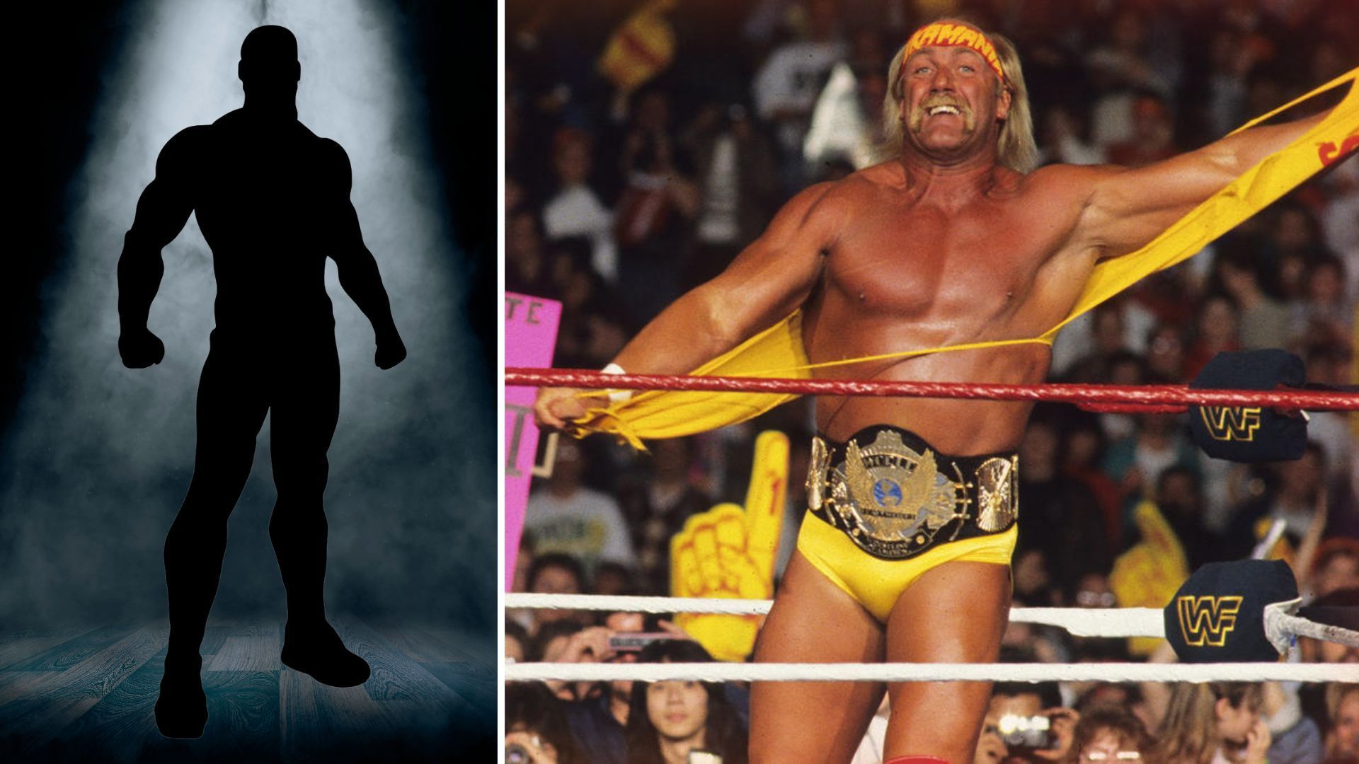 Hogan was one of WWE&#039;s biggest ever draws