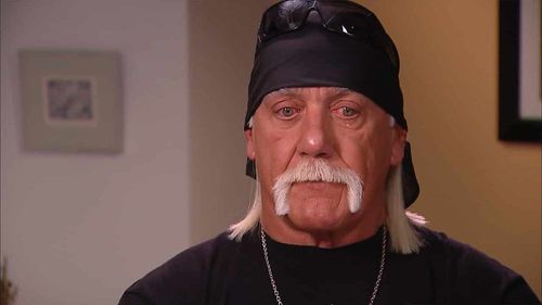 Hulk Hogan isn't the most liked person in the wrestling world it seems