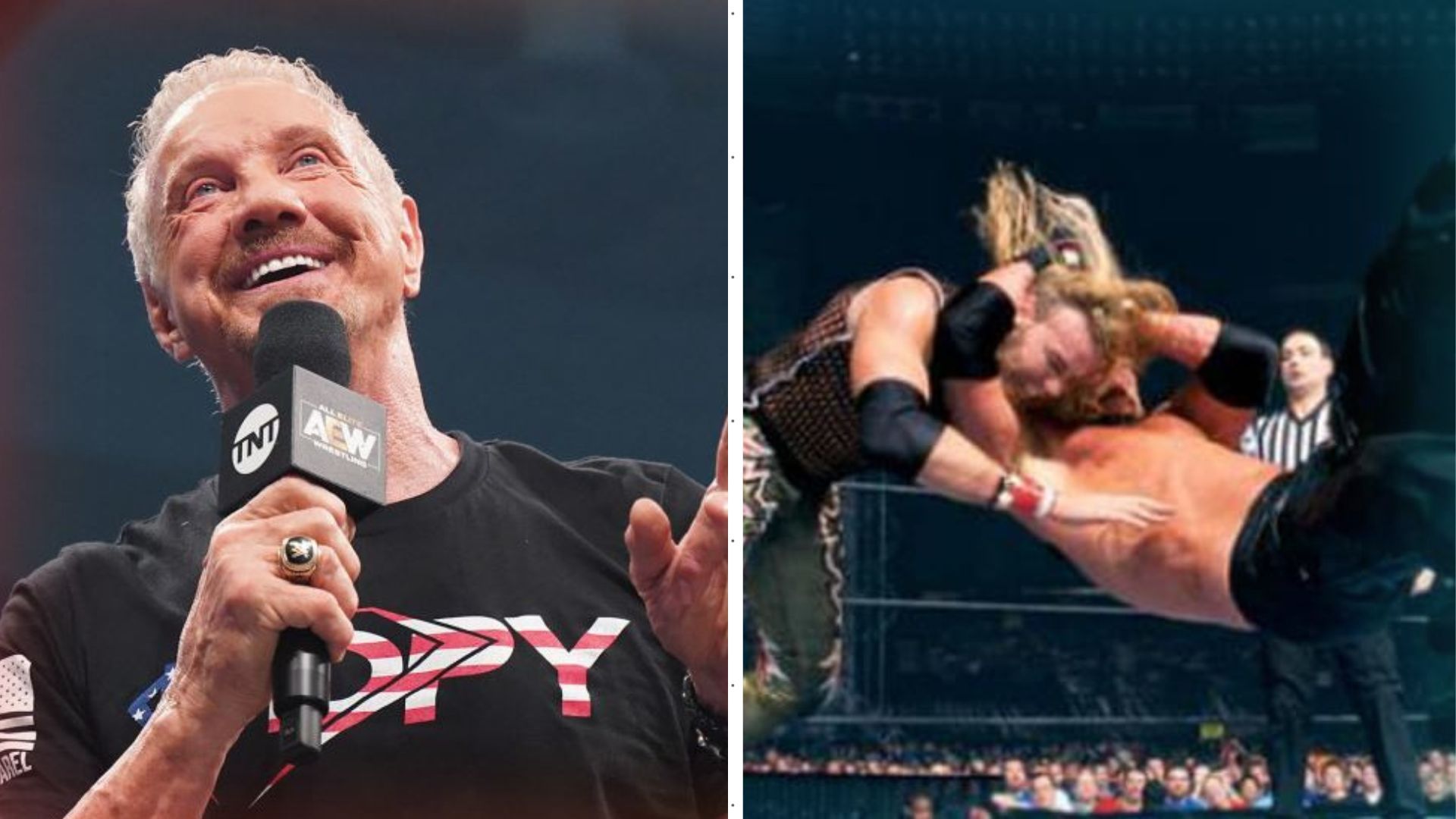 Diamond Dallas Page hits the infamous Diamond Cutter