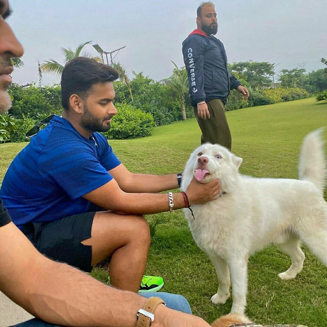 Rishabh Pant plays with one of MS Dhoni&#039;s dogs at the latter&#039;s farmhouse in Ranchi. (Pic Credit: Rishabh Pant / Instagram)
