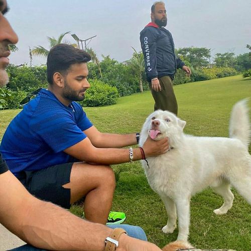 Rishabh Pant plays with one of MS Dhoni's dogs at the latter's farmhouse in Ranchi. (Pic Credit: Rishabh Pant / Instagram)