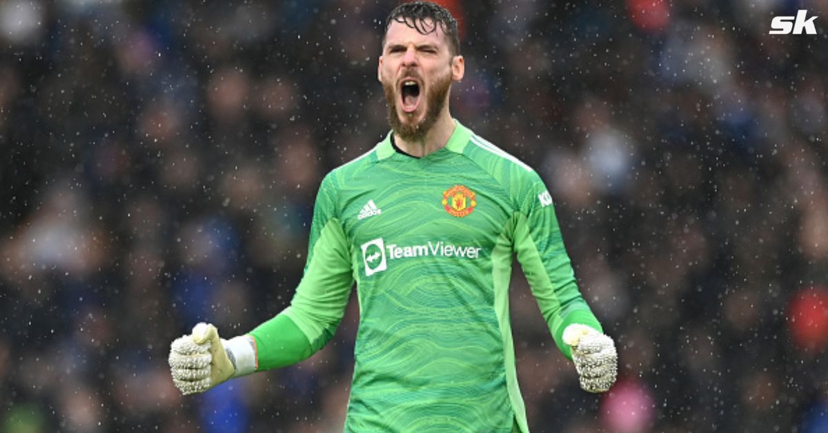 Erik ten Hag wants to sign a back-up for David de Gea