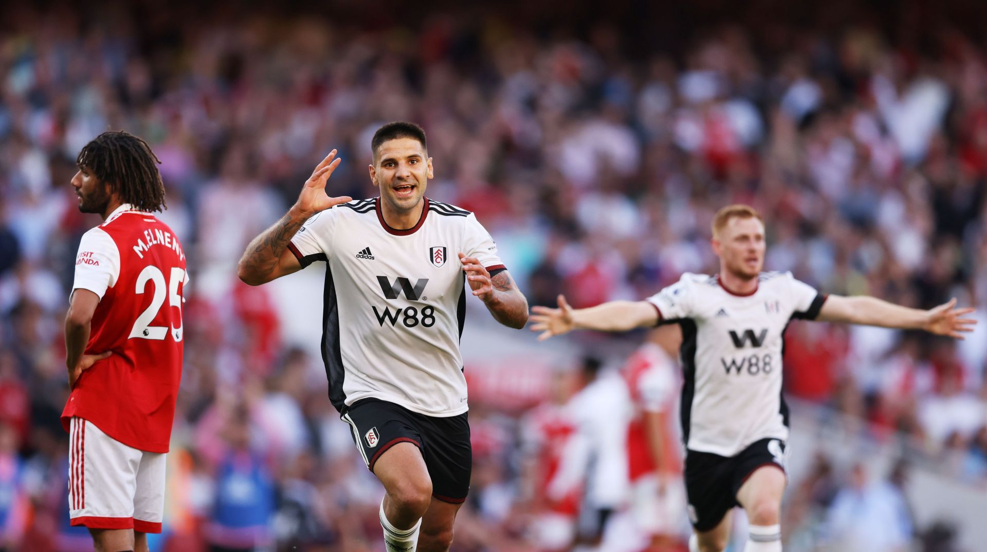 Mitrovic celebrates after scoring the goal