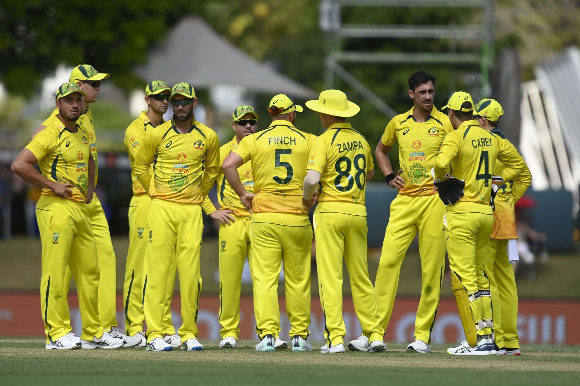 Australia are the favorites to win the 3rd ODI of the series against Zimbabwe (Image: Getty)