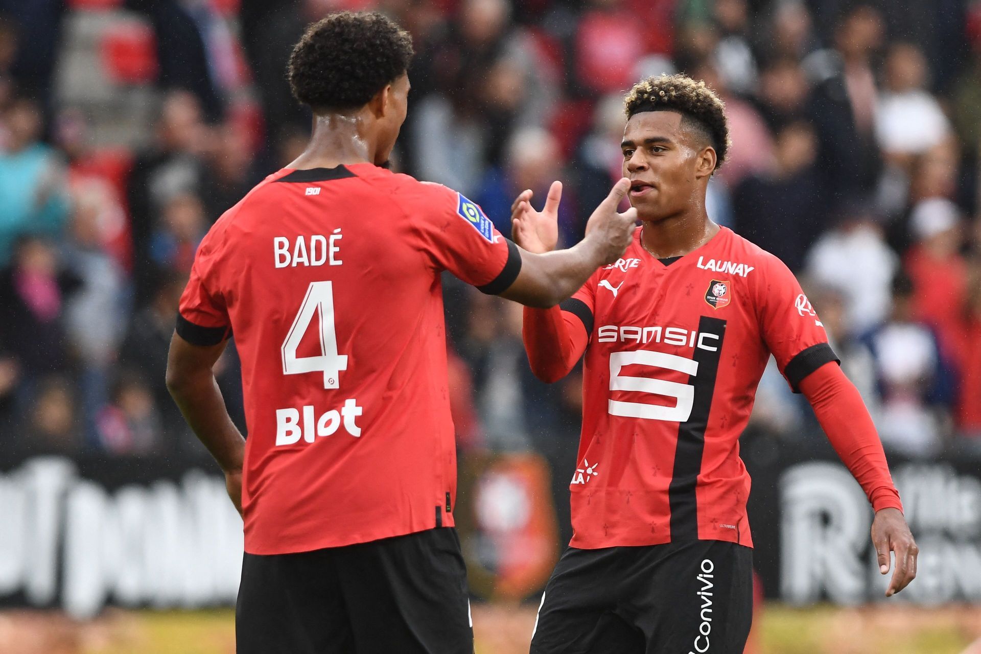 Rennes will host Brest on Wednesday - Ligue 1 