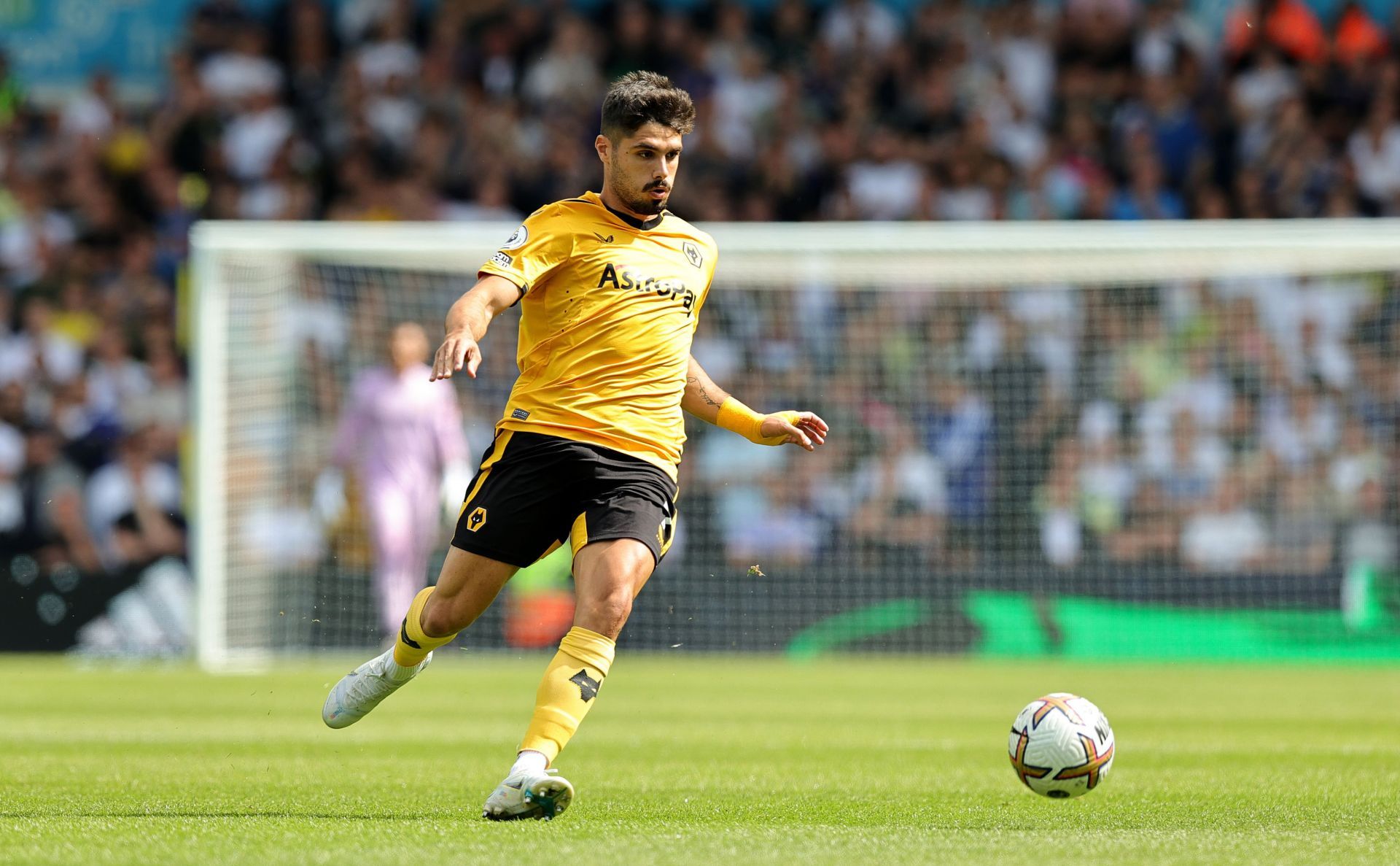 Wolverhampton Wanderers play Fulham on Saturday