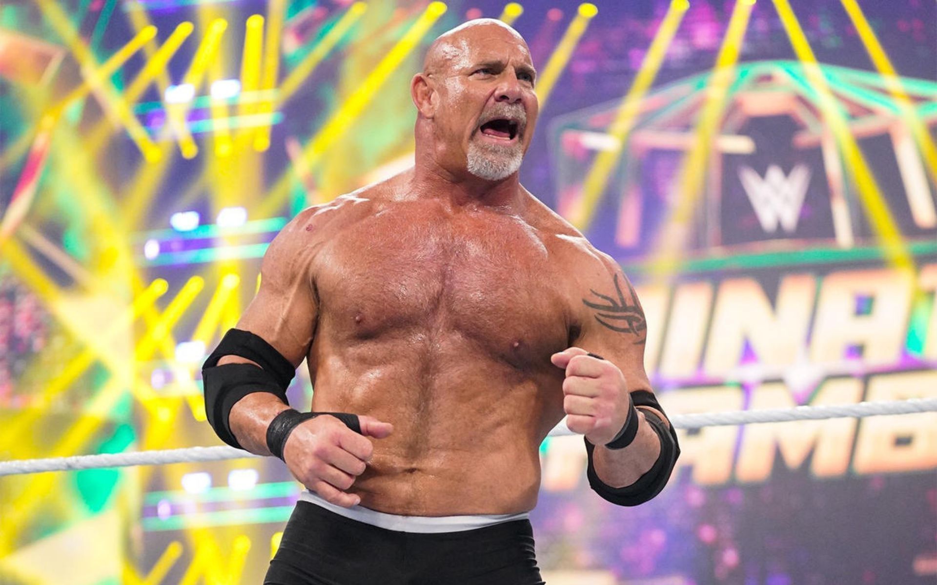 Goldberg is a former Universal Champion!