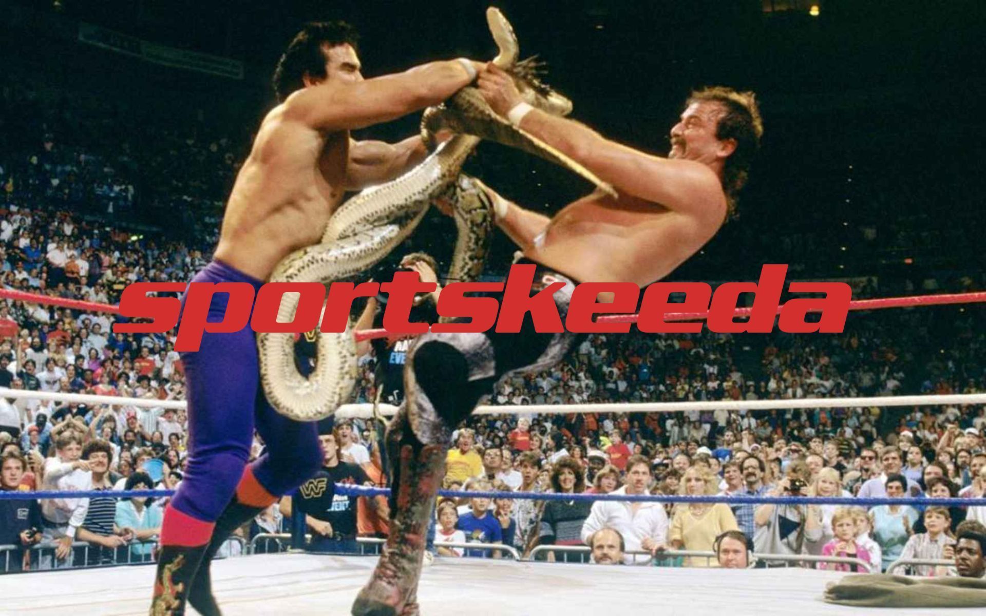 Jake Roberts and Ricky Steamboat had some epic matches!