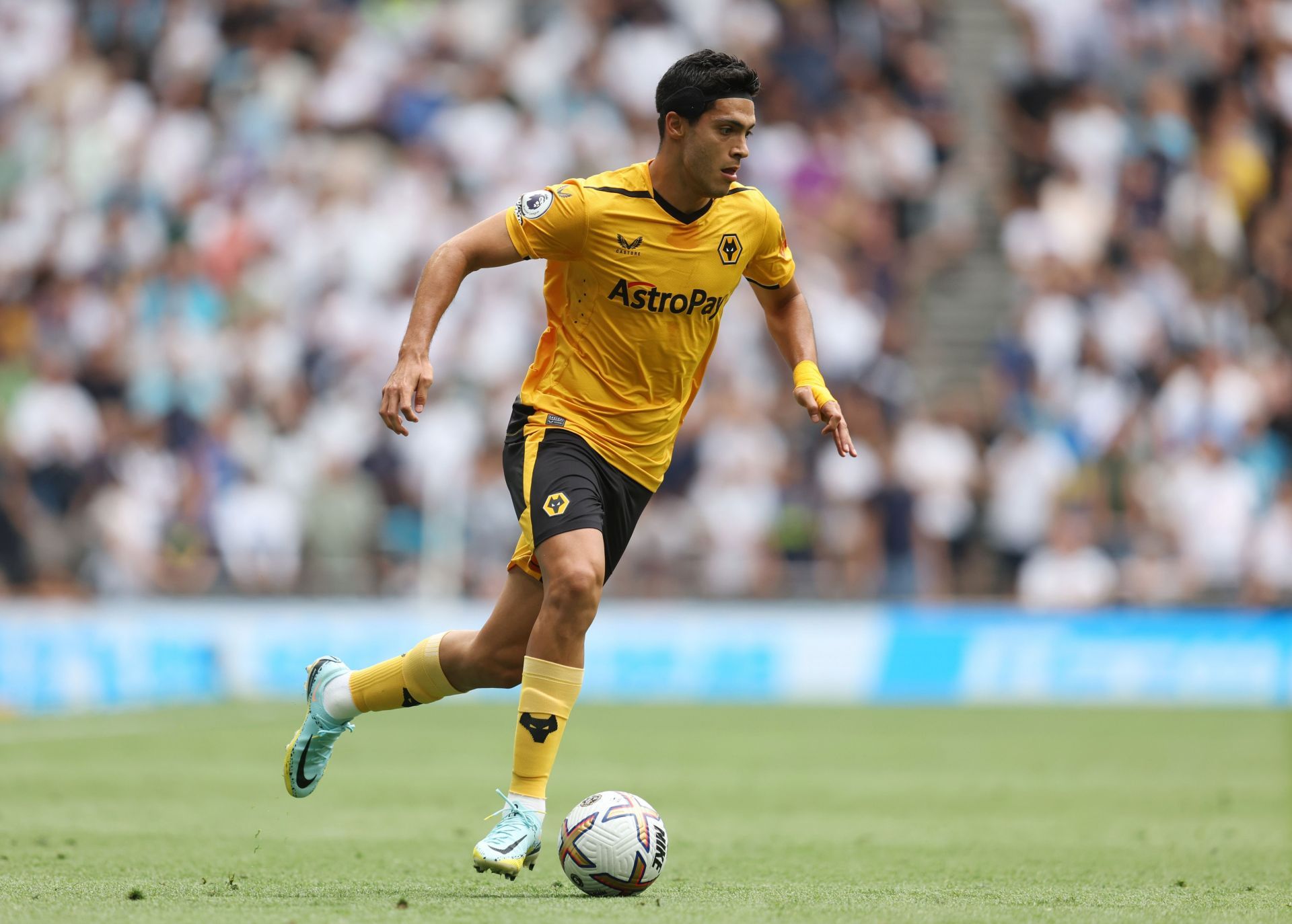 Tottenham Hotspur v Wolverhampton Wanderers - Premier League