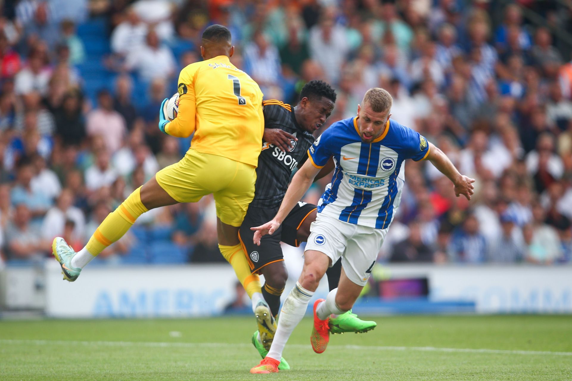 Brighton & Hove Albion v Leeds United - Premier League