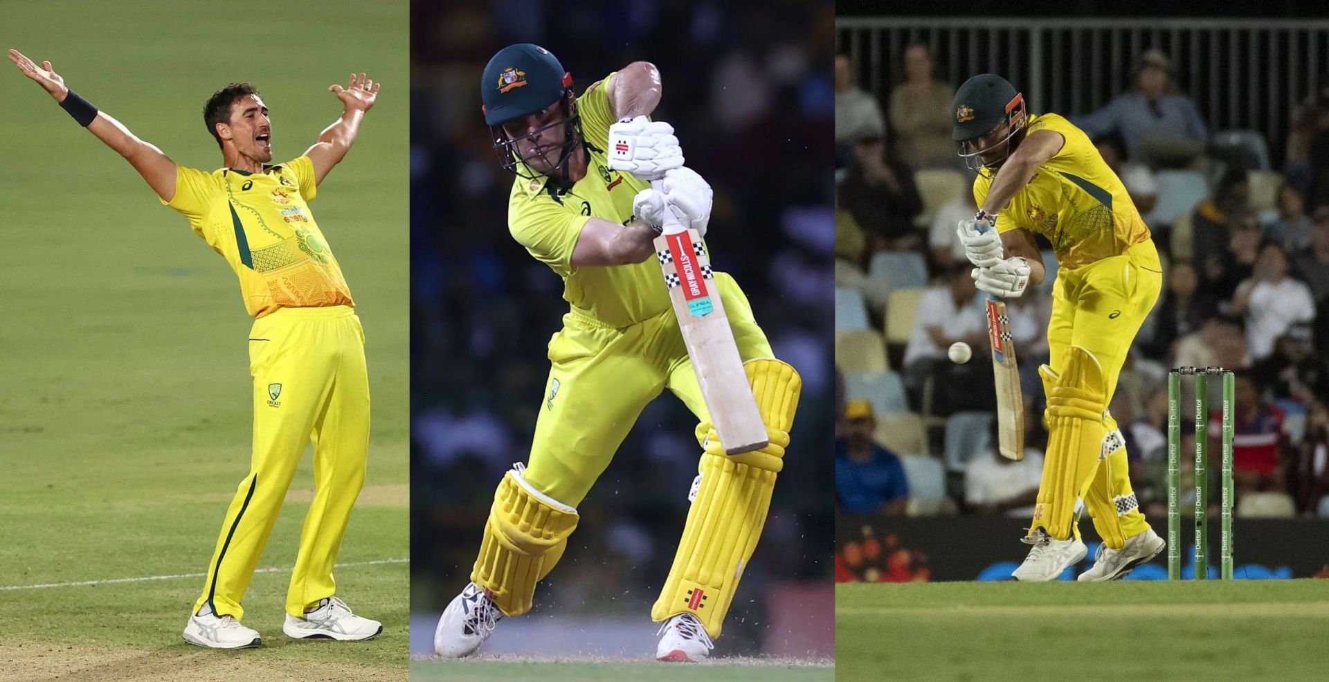 Mitchell Starc, Mitchell Marsh, Marcus Stoinis