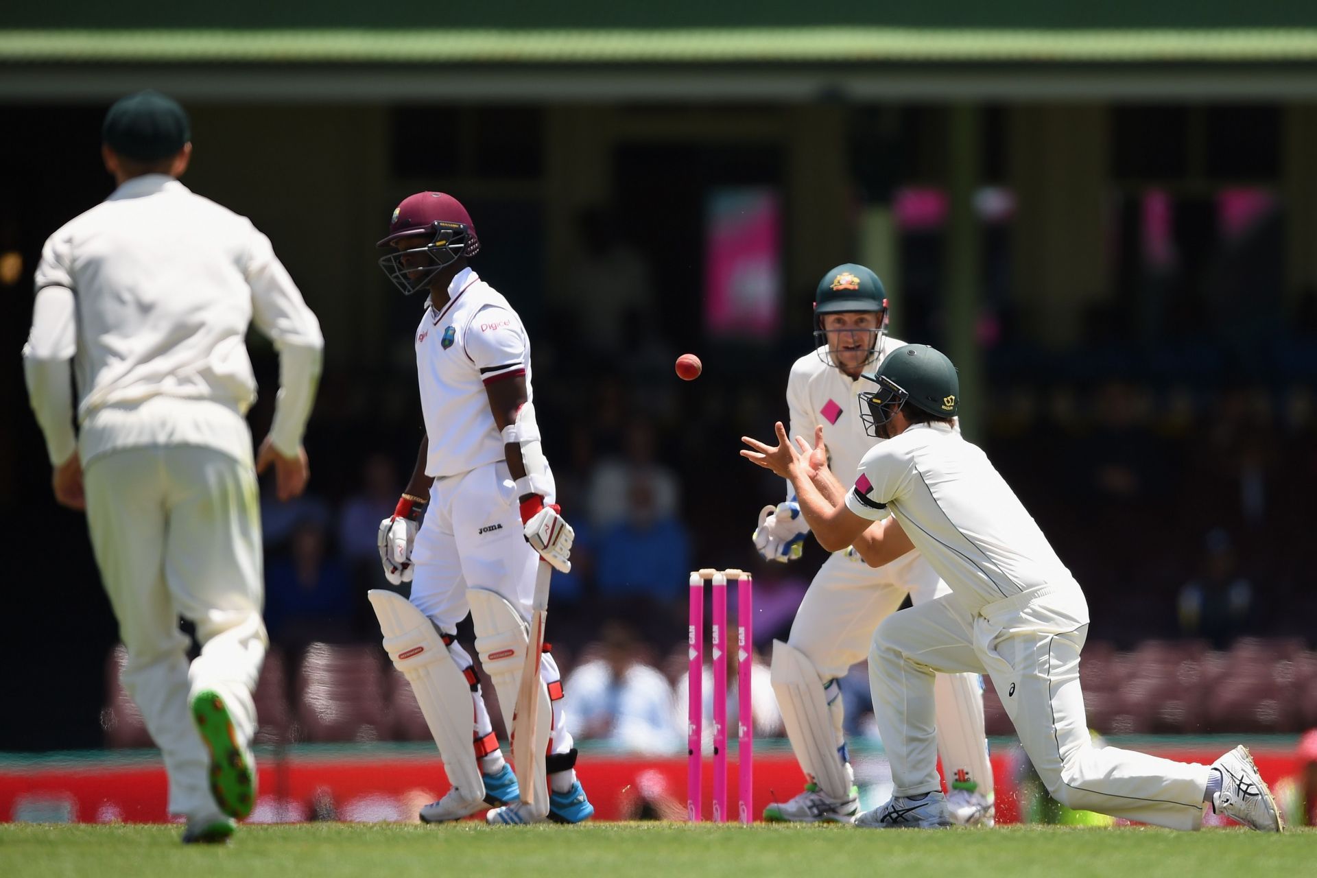 Australia will host West Indies in the next World Test Championship series (Image: Getty)