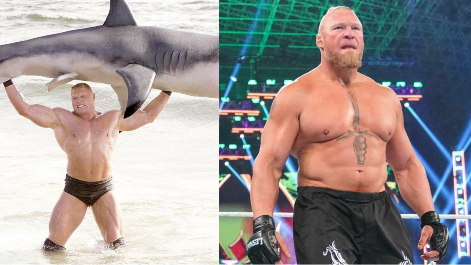 Brock Lesnar has shown incredible feats of strength over the years